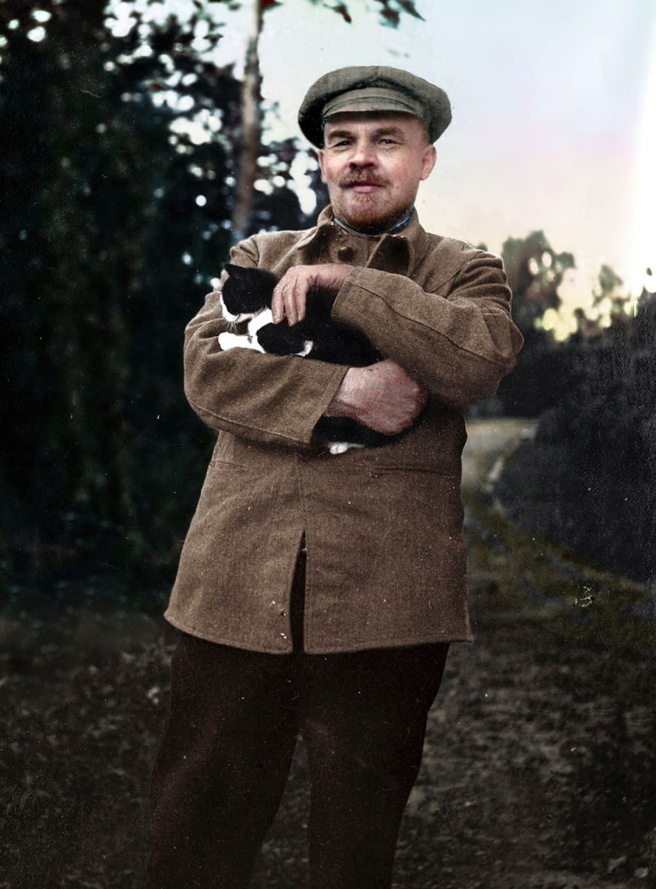 Cat Day is an unofficial holiday in honor of cats that is celebrated around the world. - cat, Cat Day, Lenin, Communism, Telegram (link)