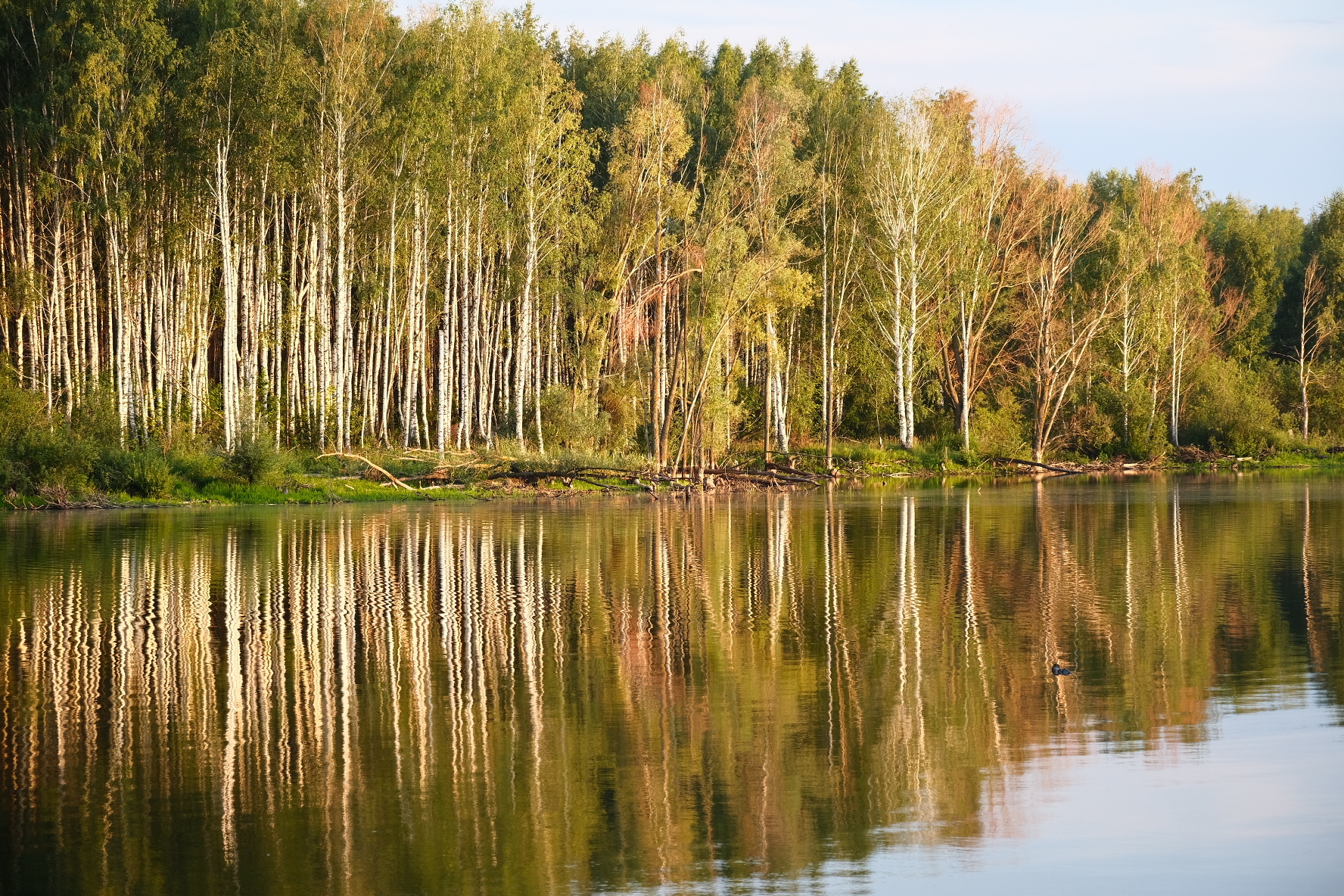 Looking for beautiful fishing spots - My, Nature, Pond, Lake, Kazan, Tatarstan, The photo, Picturesque, Longpost