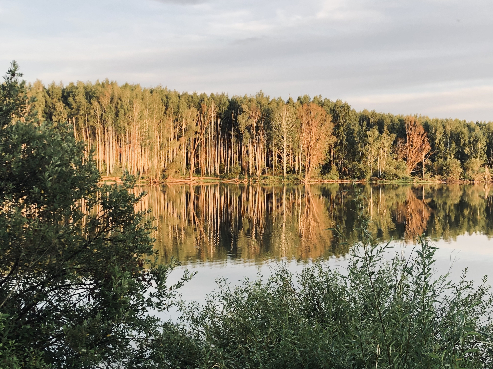 Looking for beautiful fishing spots - My, Nature, Pond, Lake, Kazan, Tatarstan, The photo, Picturesque, Longpost