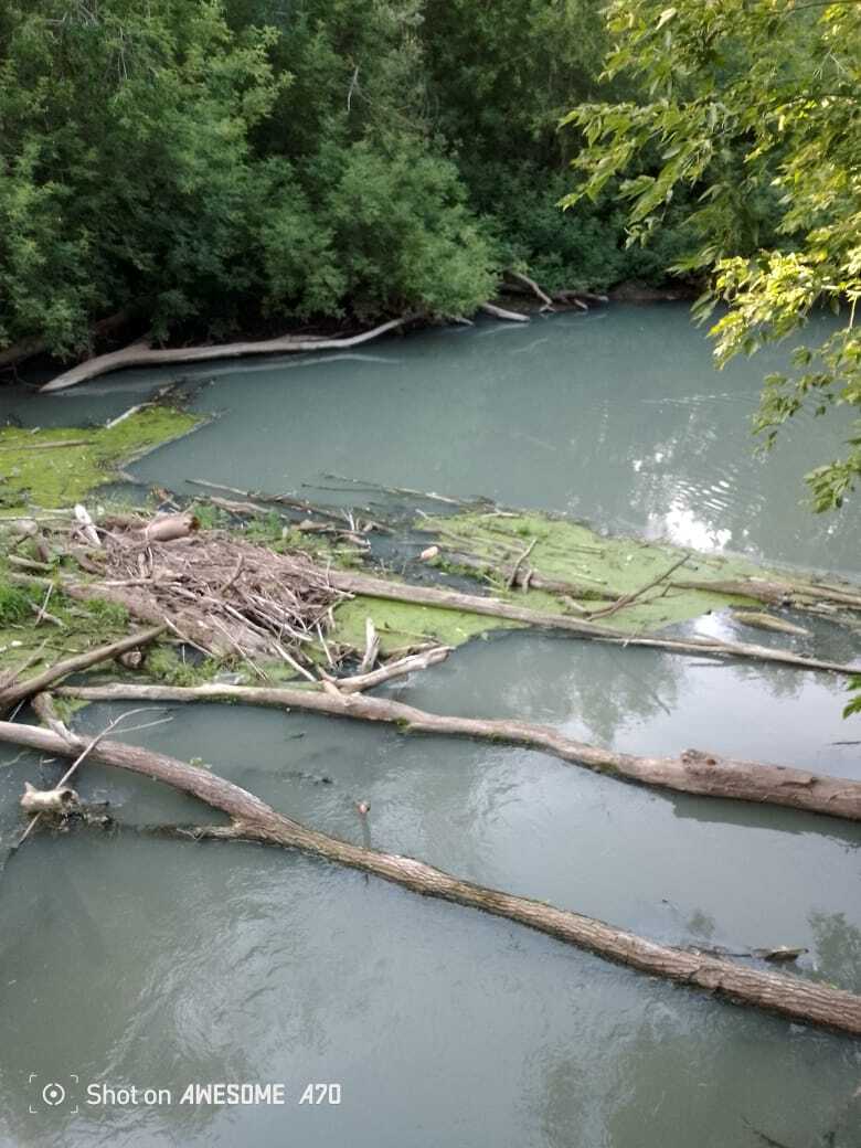 The Kazanka River was poisoned again - Ecology, River, Health, Video, Vertical video, Longpost, Negative