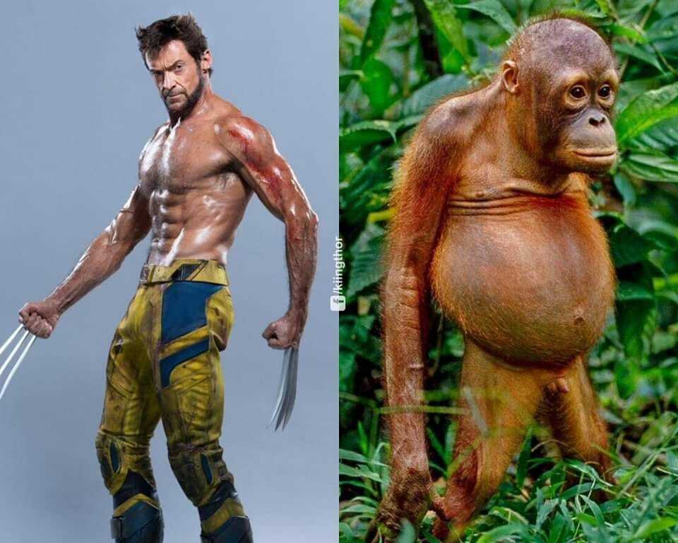 Hugh Jackman at 55 and me at 34 - Hugh Jackman, Deadpool, Movies, Skufs, The bone is wide, Wolverine (X-Men), Age