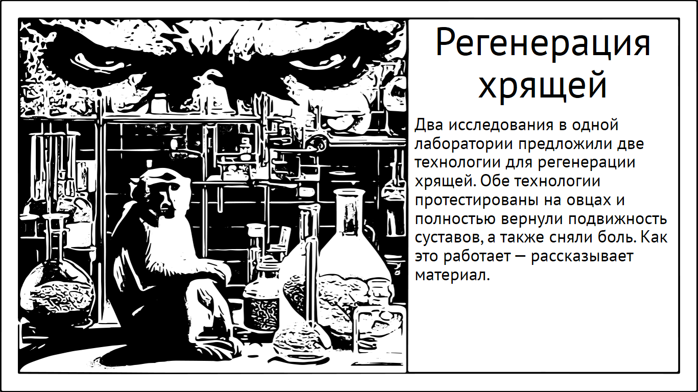 Регенеративная медицина. Хрящ с «танцующими молекулами» и «резиновой жижей» - Моё, Исследования, Наука, Научпоп, Эксперимент, Хрящи, Суставы, Регенерация, Регенеративная медицина, Биотехнологии, Длиннопост