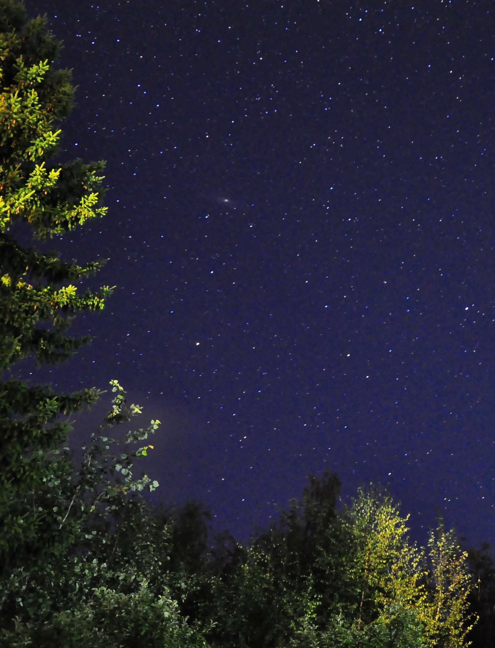 Andromeda Nebula - Andromeda Nebula, Astrophoto, Starry sky, Night shooting, Nebula, Stars, Longpost