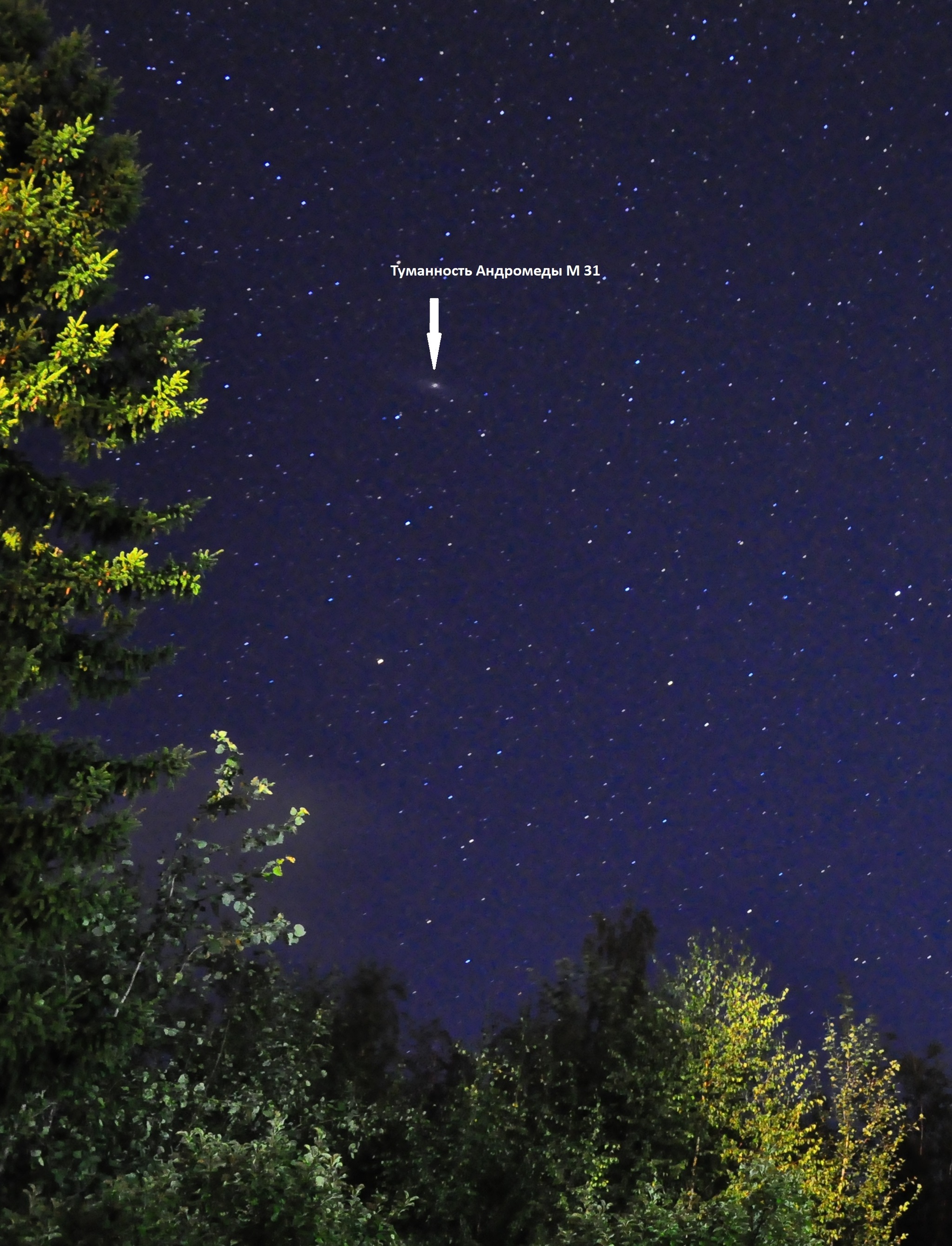 Andromeda Nebula - Andromeda Nebula, Astrophoto, Starry sky, Night shooting, Nebula, Stars, Longpost