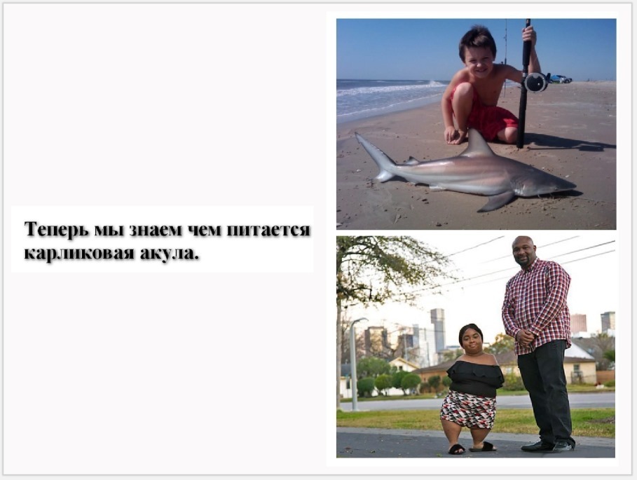 Secrets of the Ocean - Black humor, Picture with text, Shark, Sad humor, Repeat