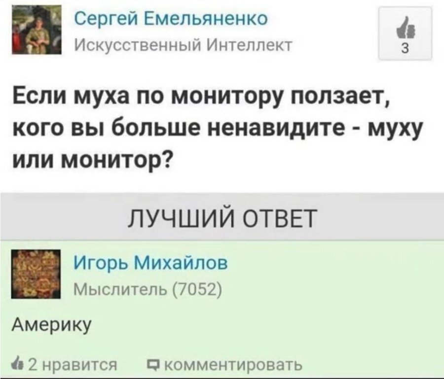 Ответ патриота - Забавное, Юмор, Скриншот, Картинка с текстом, Муха, Монитор, Комментарии, Зашакалено