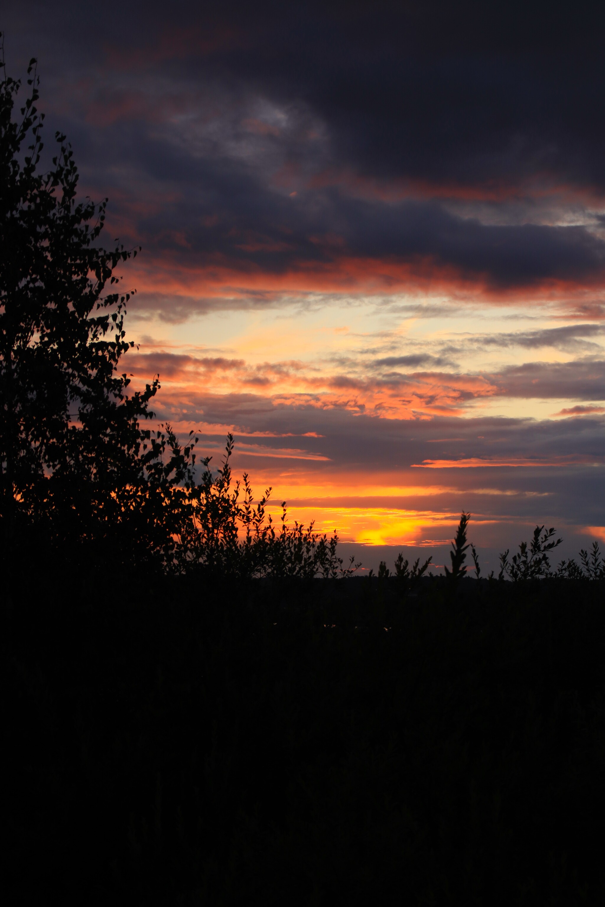 Sunset 08/07/2024, Sheksna village - My, Sunset, Sunrises and sunsets, Sheksna, Vologodskaya Oblast, Canon, Summer, Longpost, The photo