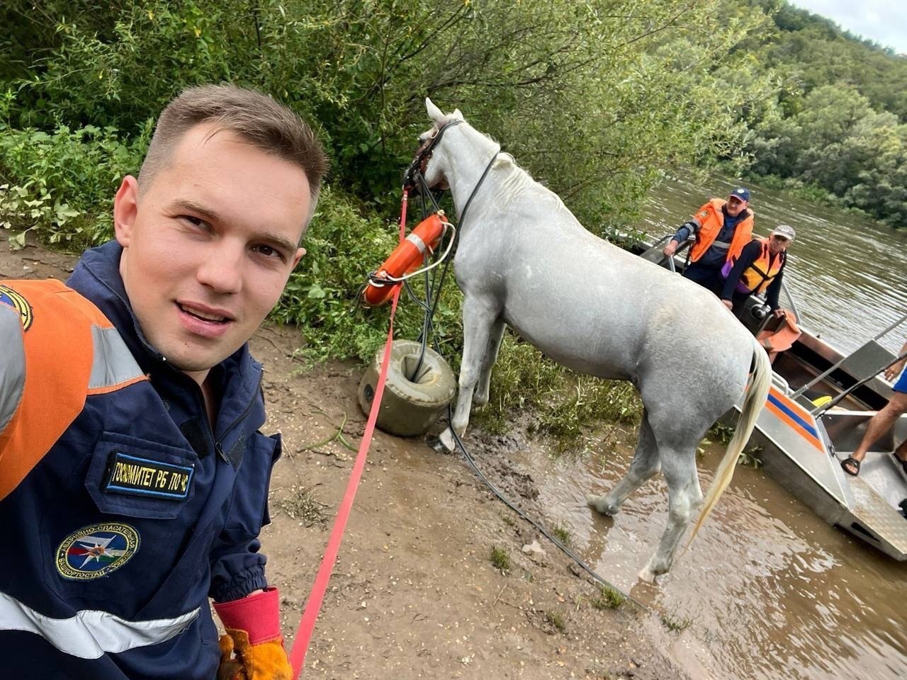 Ufa: a horse fell off a cliff into the river - Ufa, Rescuers, Animals, Ministry of Emergency Situations, Video, Vertical video, Longpost