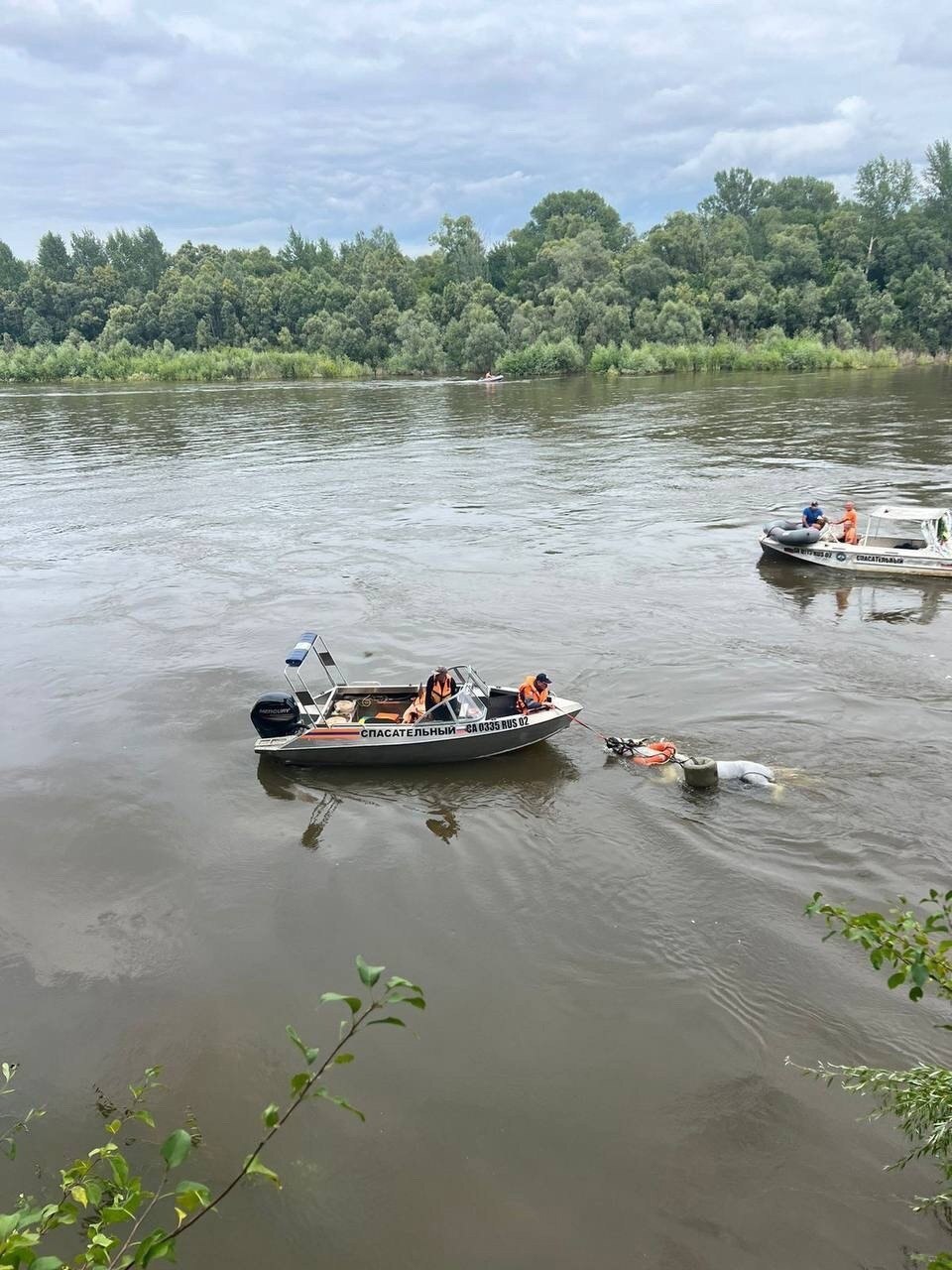 Ufa: a horse fell off a cliff into the river - Ufa, Rescuers, Animals, Ministry of Emergency Situations, Video, Vertical video, Longpost