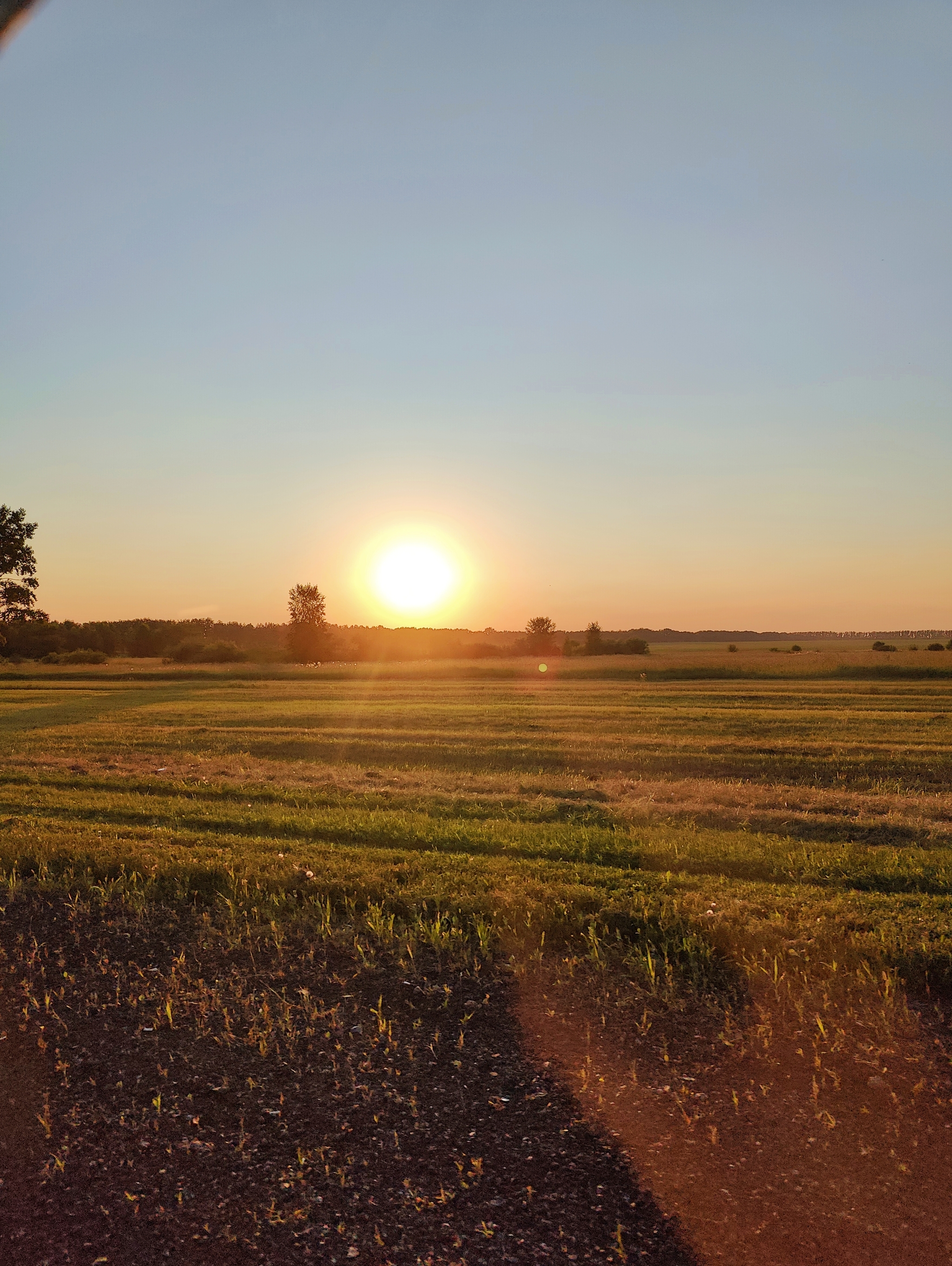 Augustovskoe - My, August, Field, Sunset, Mobile photography