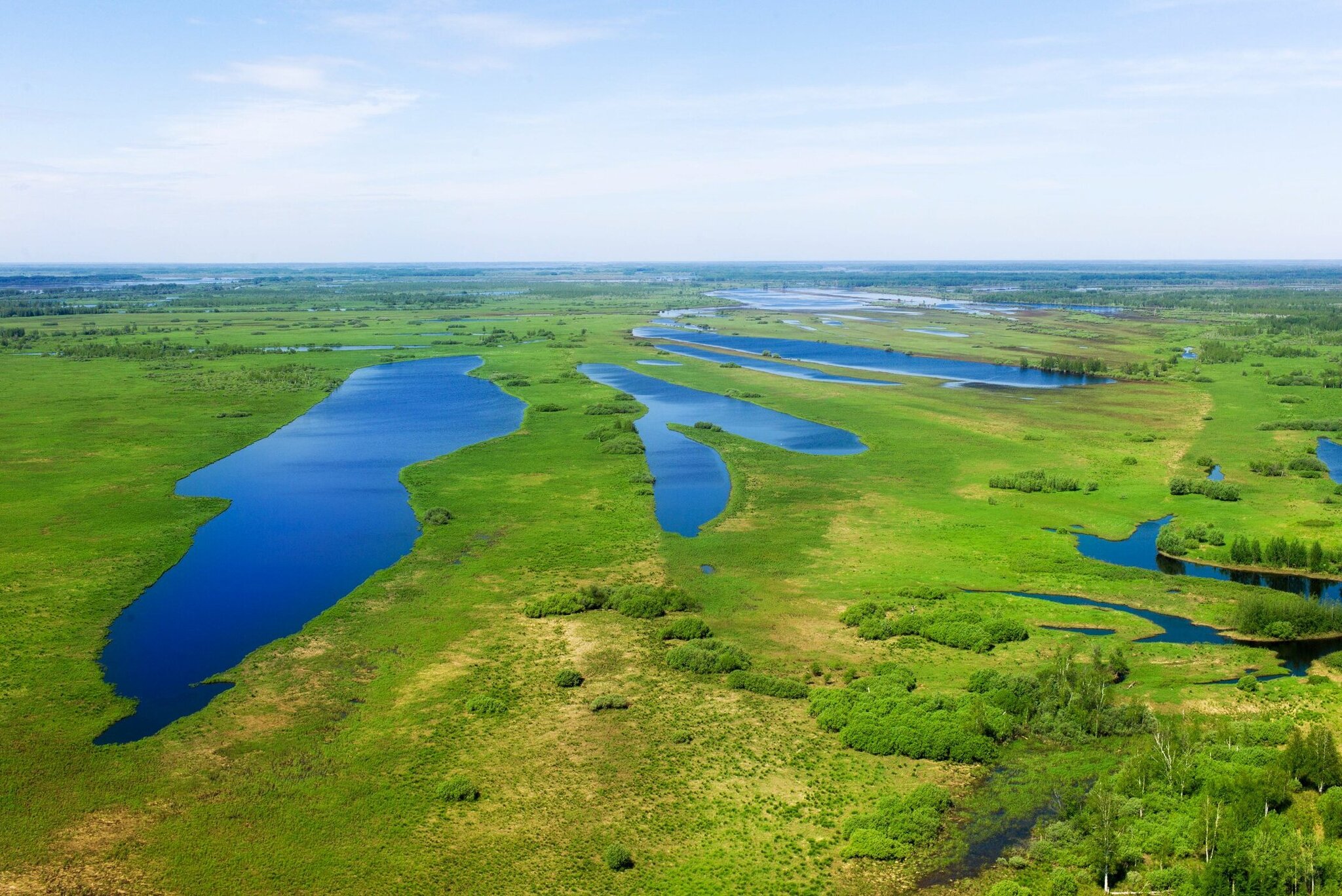 Swamping as a new tourism trend - My, Travel across Russia, Road trip, sights, Travels, Tourism, Cities of Russia, Swamp, wildlife, Nature, The nature of Russia, Camping, Longpost