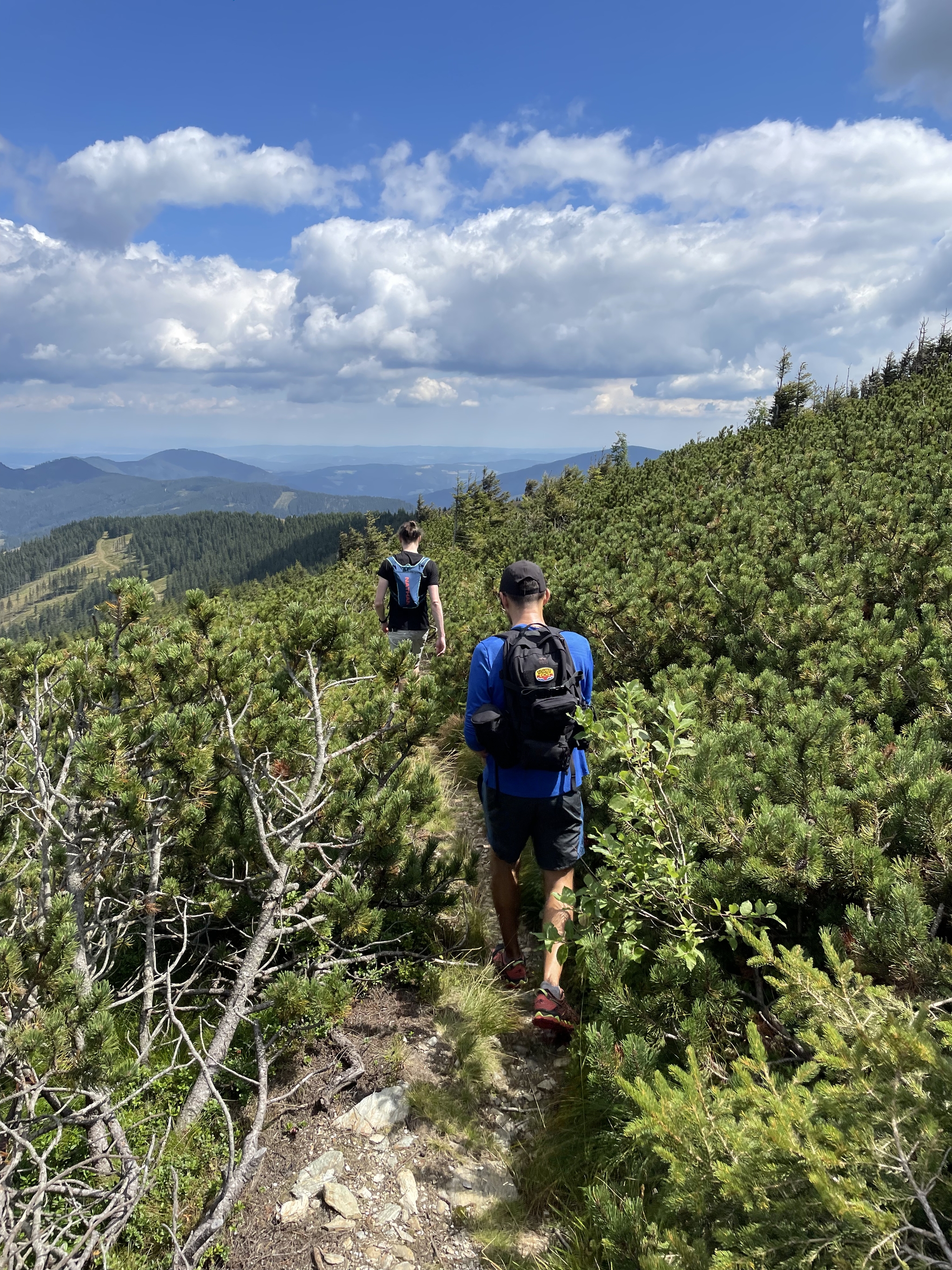 Hiking Austria: Stuhleck Gipfel - My, Hike, The mountains, Alps, Height, Friends, Travels, Austria, Climbing, Nature, Mushrooms, People, Forest, The photo, Longpost