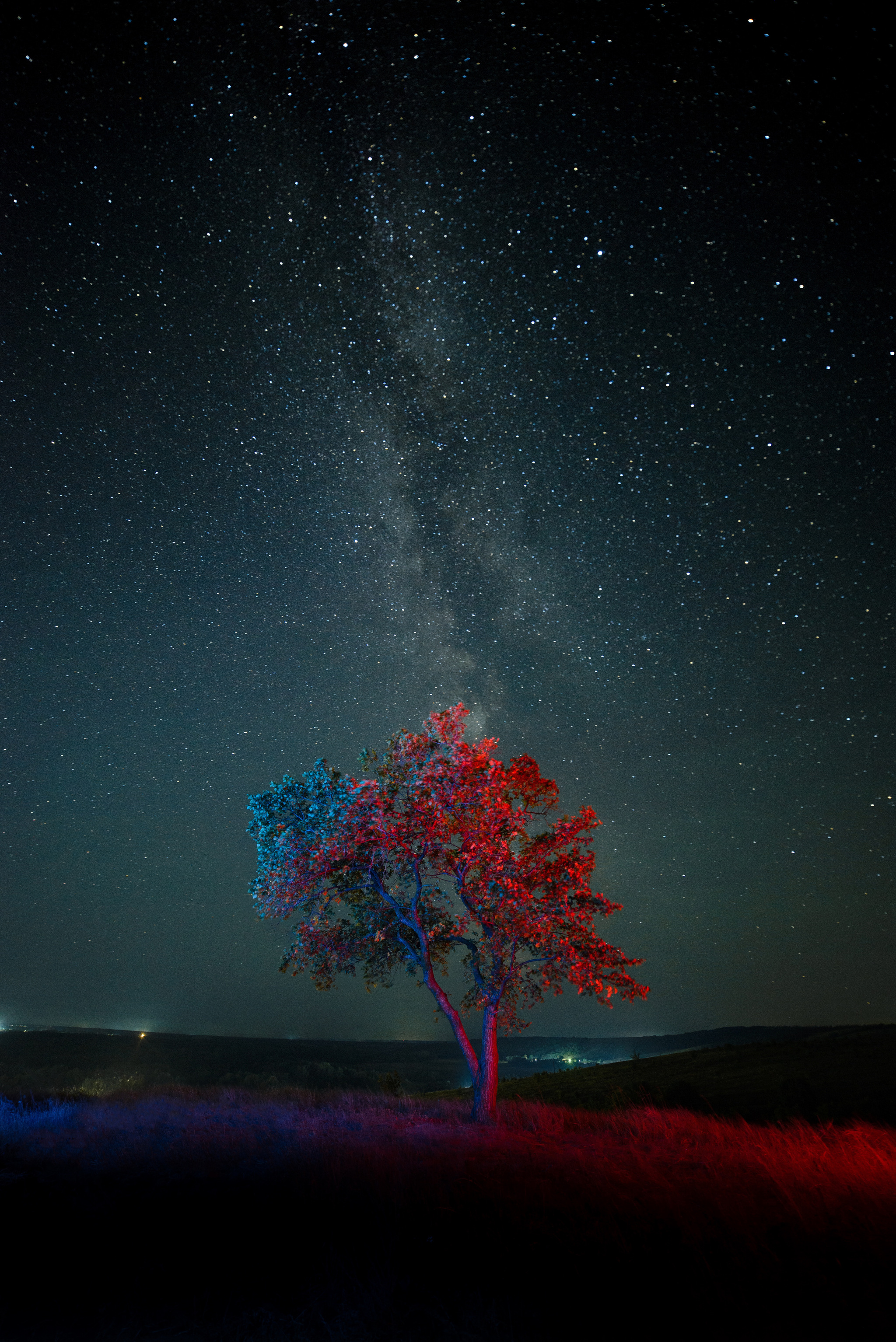 Lonely tree in the steppe against the backdrop of the Milky Way - My, Uryupinsk, Volgograd region, Starry sky, Milky Way, The photo