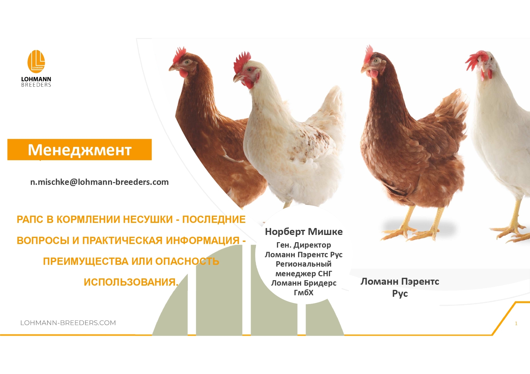 Rapeseed in feeding laying hens - latest questions and practical information - advantages or dangers of use - Сельское хозяйство, Hen, Village, Birds, Telegram (link), Village, Longpost