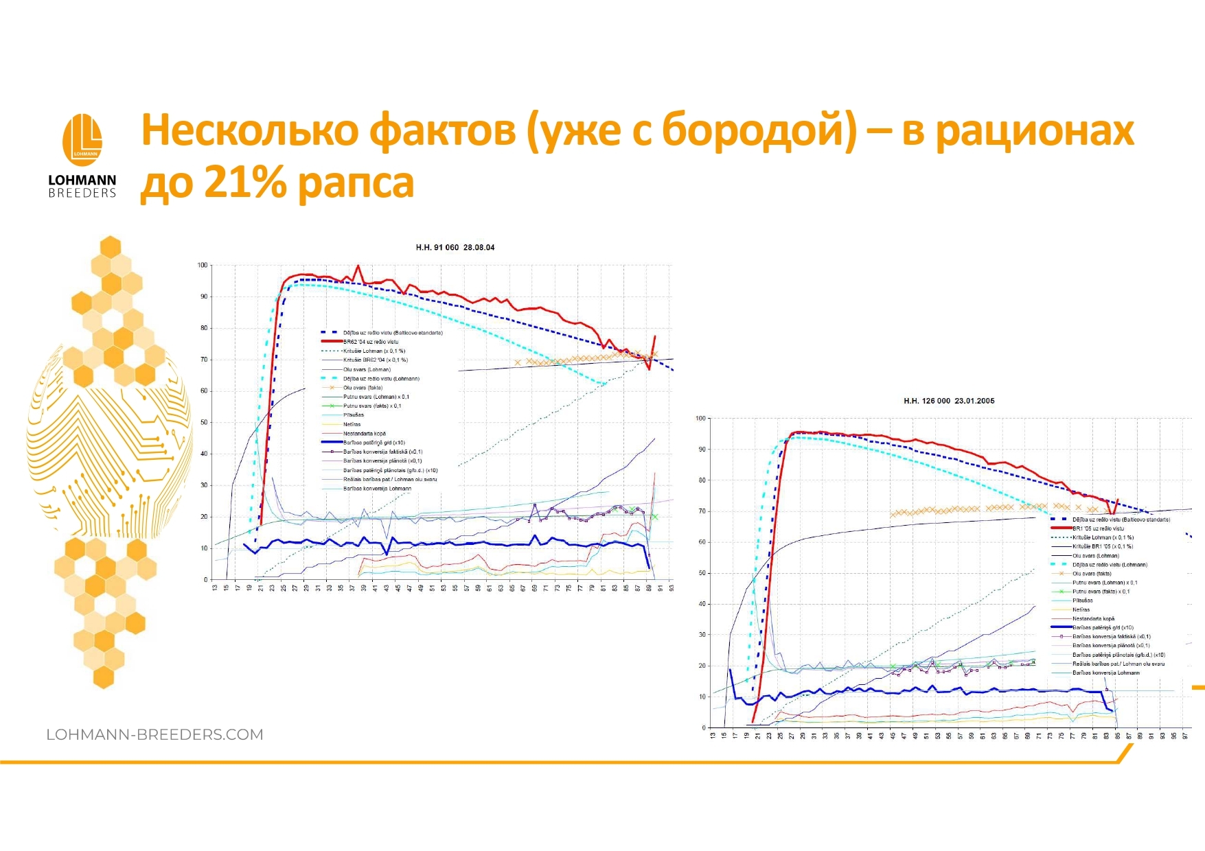 Rapeseed in feeding laying hens - latest questions and practical information - advantages or dangers of use - Сельское хозяйство, Hen, Village, Birds, Telegram (link), Village, Longpost