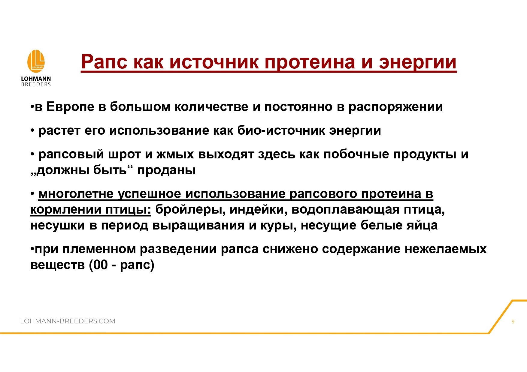 Rapeseed in feeding laying hens - latest questions and practical information - advantages or dangers of use - Сельское хозяйство, Hen, Village, Birds, Telegram (link), Village, Longpost