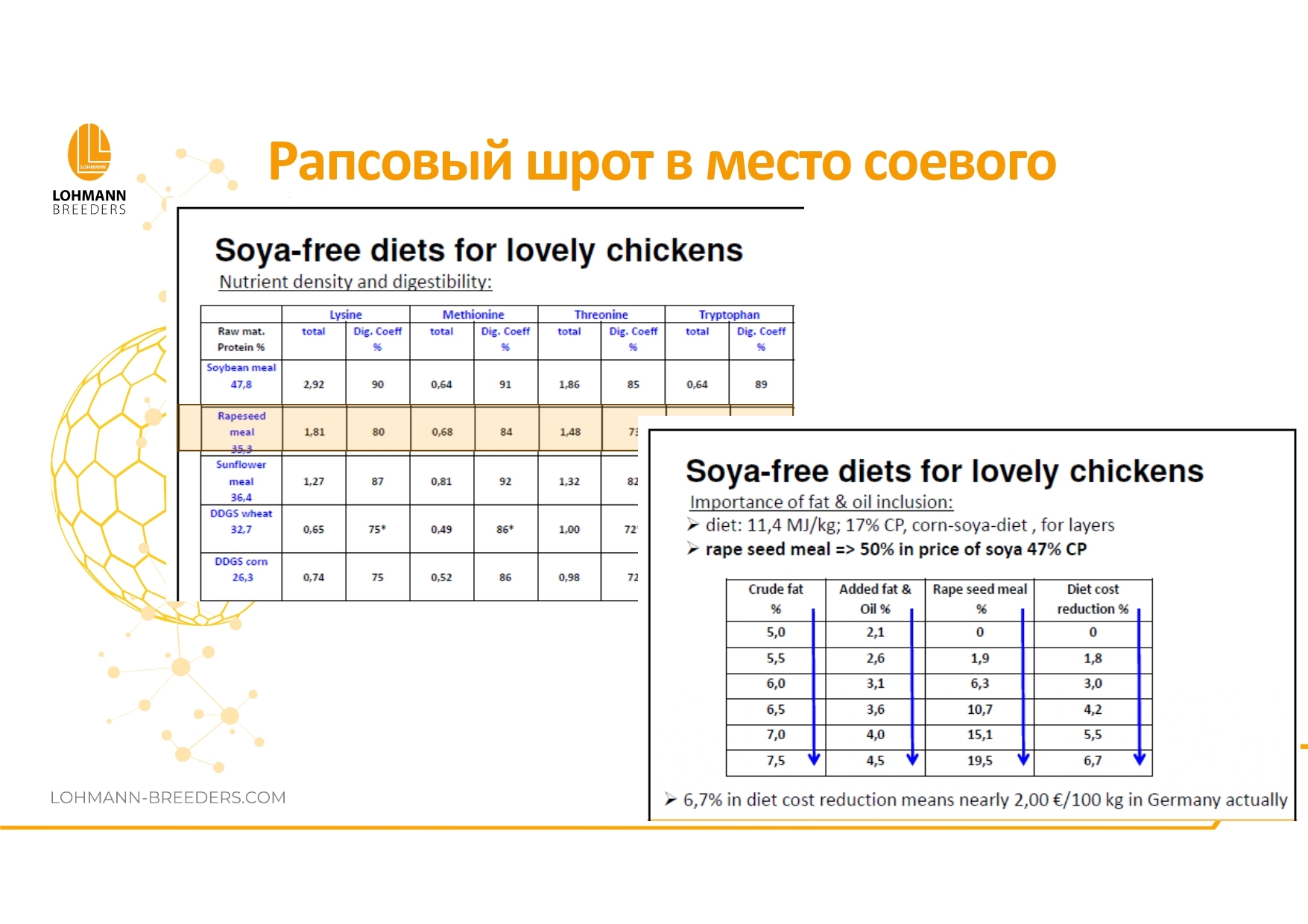 Rapeseed in feeding laying hens - latest questions and practical information - advantages or dangers of use - Сельское хозяйство, Hen, Village, Birds, Telegram (link), Village, Longpost