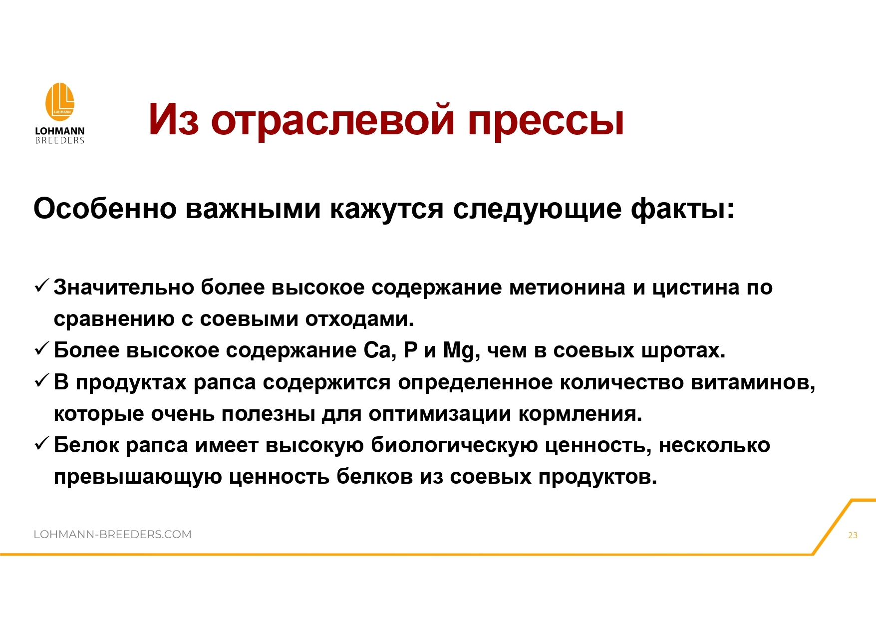 Rapeseed in feeding laying hens - latest questions and practical information - advantages or dangers of use - Сельское хозяйство, Hen, Village, Birds, Telegram (link), Village, Longpost