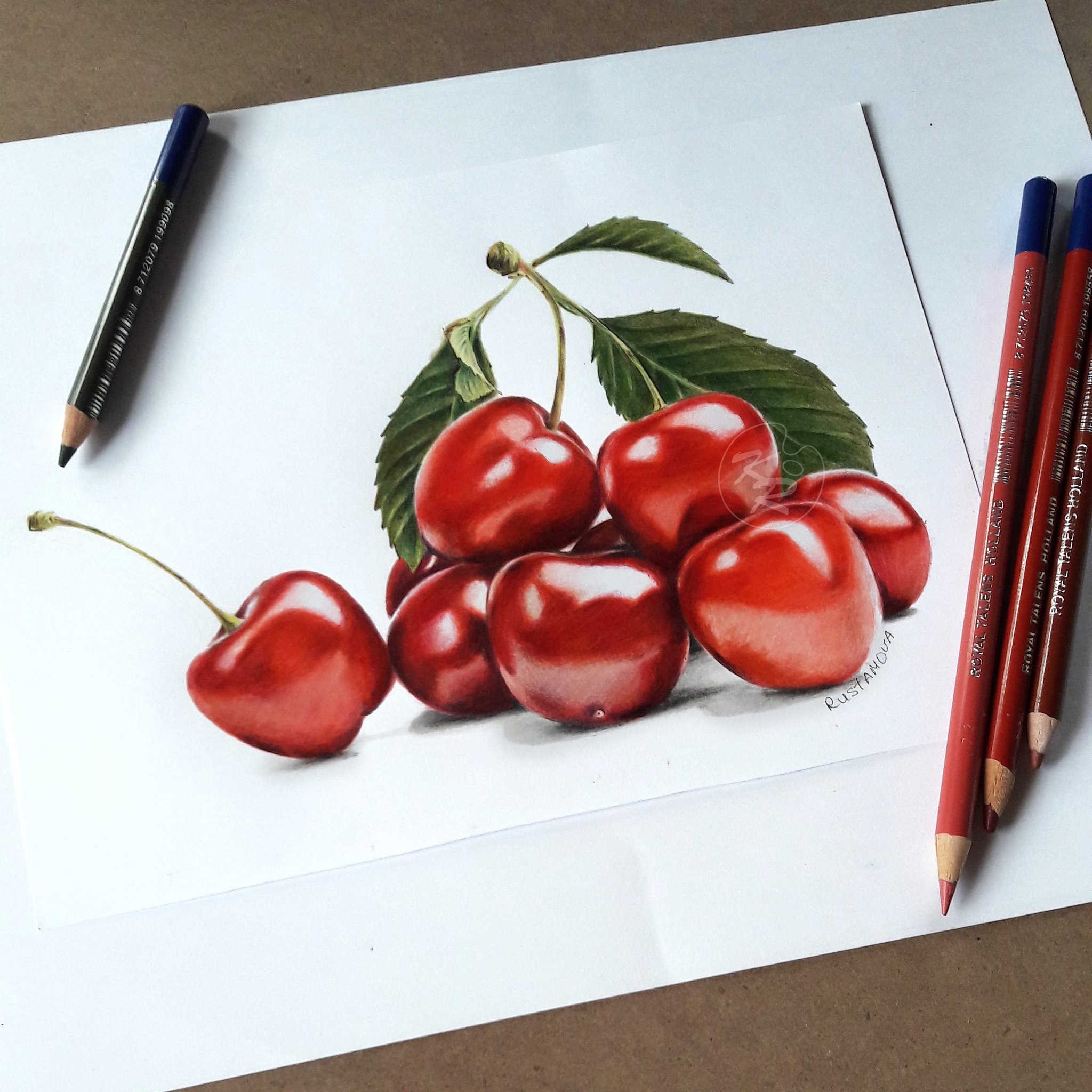 My drawing. Cherries - My, Pencil drawing, Illustrations, Botanical illustration, Realism, Colour pencils, Traditional art, Drawing