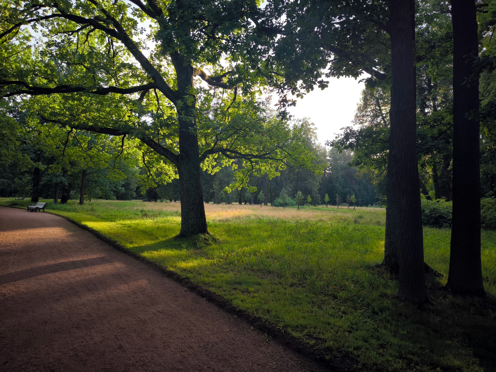 Oranienbaum Park - My, Walk, Camping, Oranienbaum, Mikhail Lomonosov, Longpost