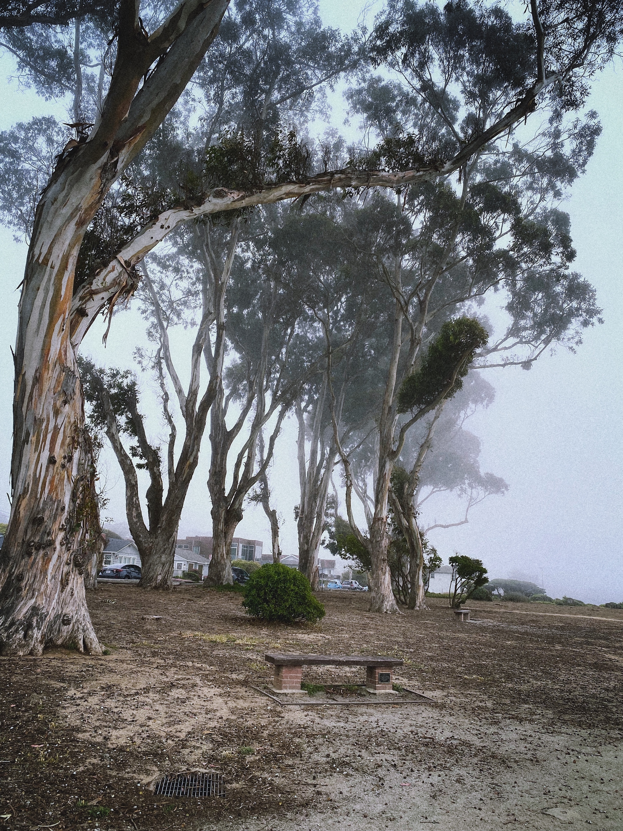 Cozy town near the Pacific Ocean two hours drive from Hollister, California - My, Ocean, Pacific Ocean, California, USA, beauty, Video, Vertical video, Longpost