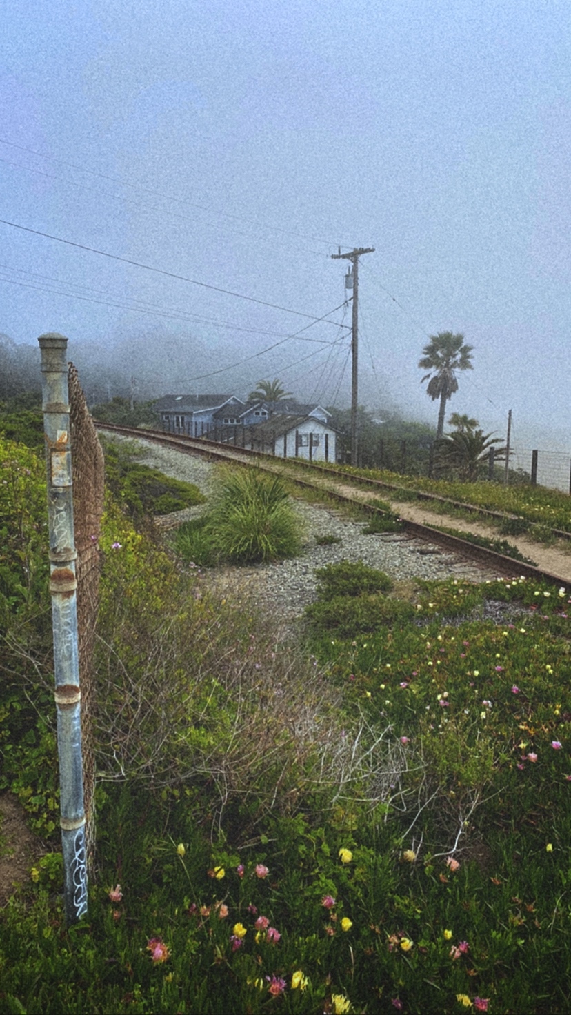 Cozy town near the Pacific Ocean two hours drive from Hollister, California - My, Ocean, Pacific Ocean, California, USA, beauty, Video, Vertical video, Longpost