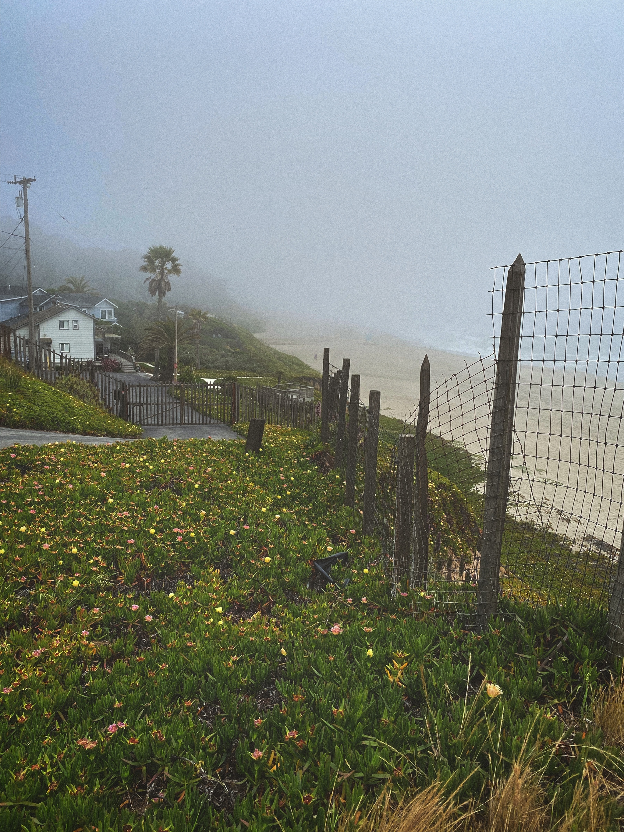 Cozy town near the Pacific Ocean two hours drive from Hollister, California - My, Ocean, Pacific Ocean, California, USA, beauty, Video, Vertical video, Longpost