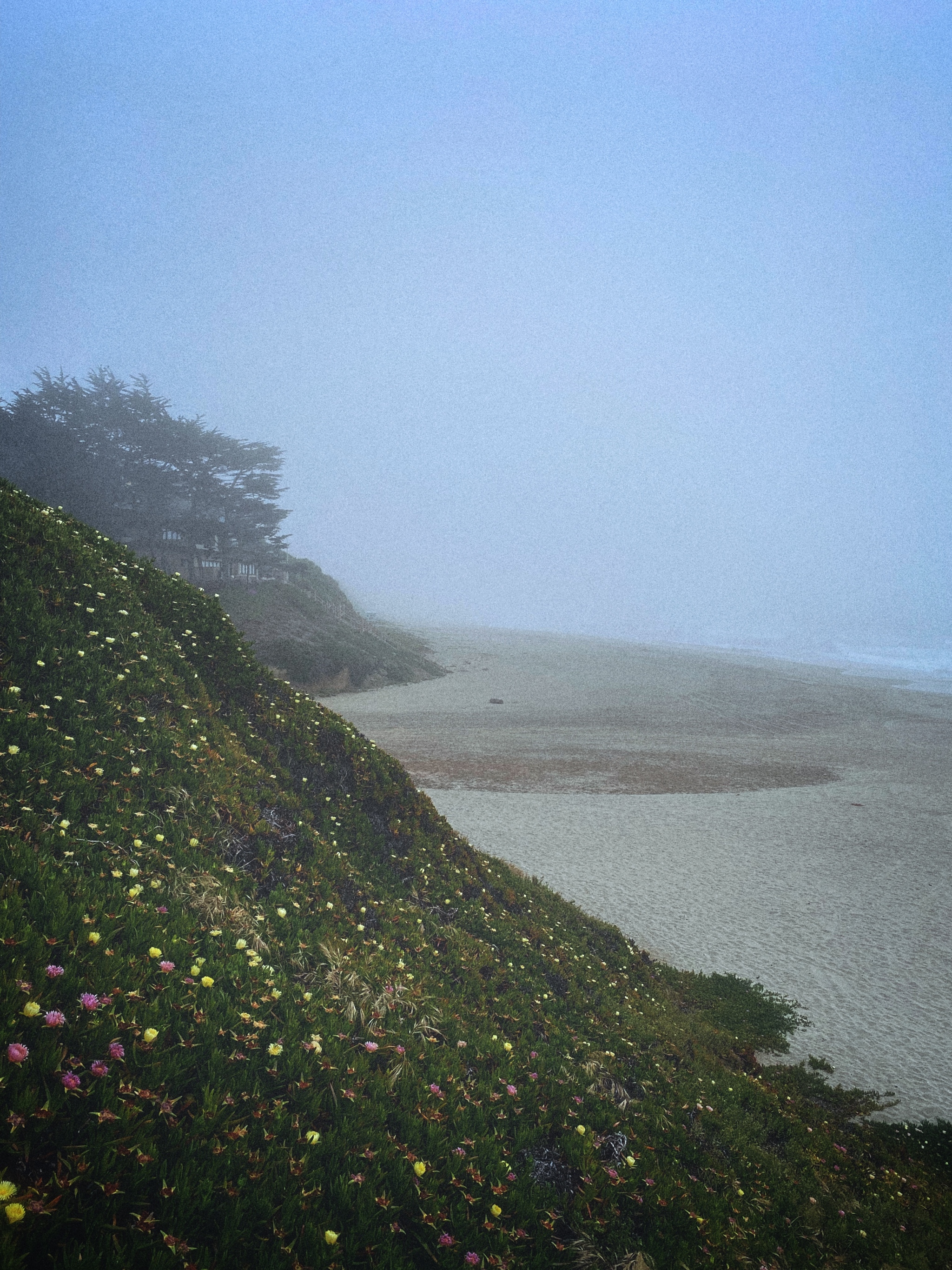 Cozy town near the Pacific Ocean two hours drive from Hollister, California - My, Ocean, Pacific Ocean, California, USA, beauty, Video, Vertical video, Longpost