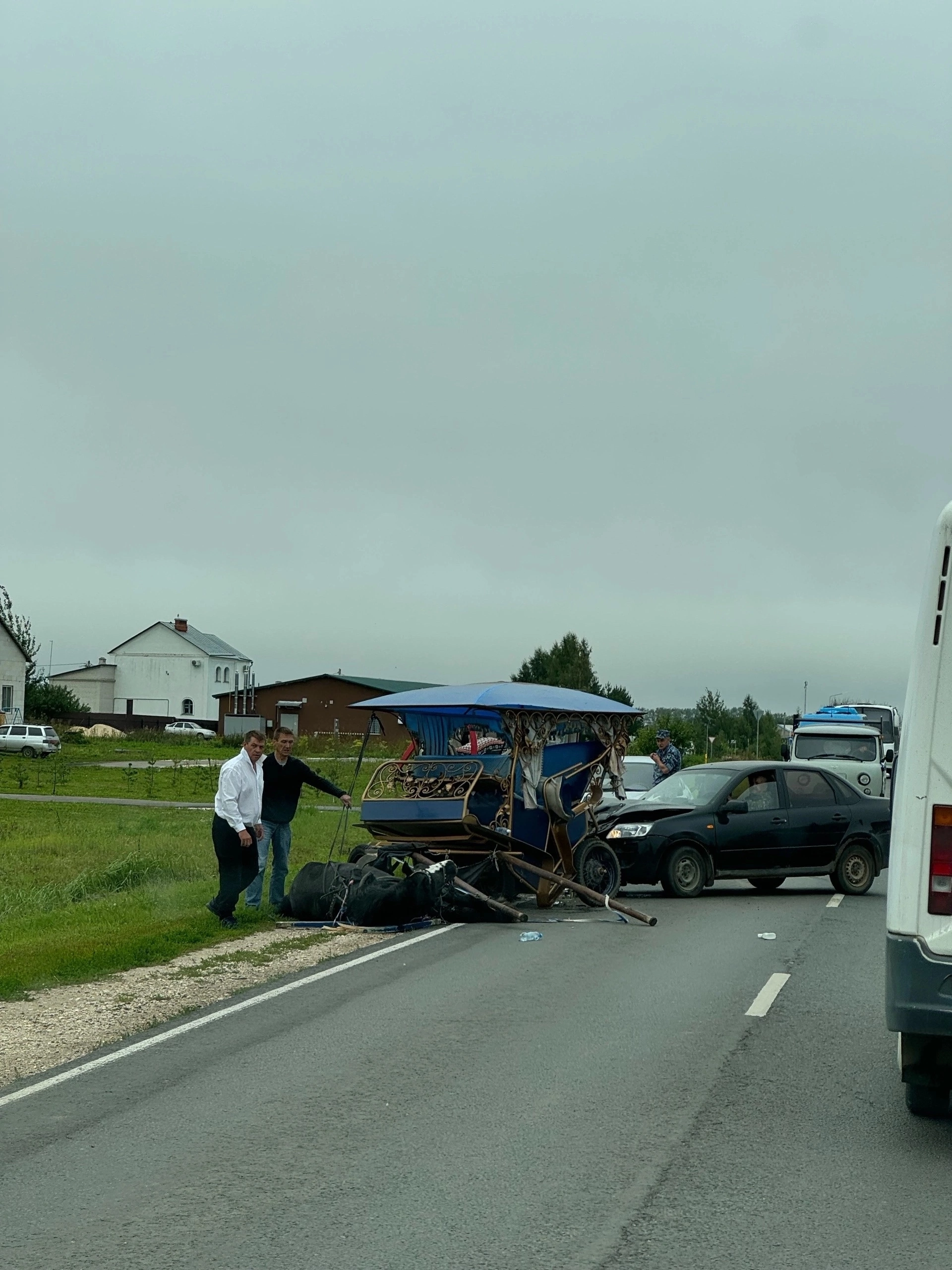 Millennium of Suzdal - Crash, Suzdal, Road accident, Horses, Coach, Mobile photography, Holidays