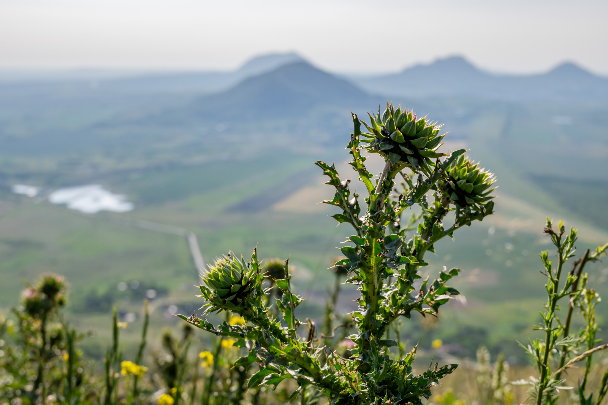 Mount Camel, Kavminvody - My, The mountains, Caucasus mountains, Caucasian Mineral Waters, Tourism, Mountain tourism, Longpost