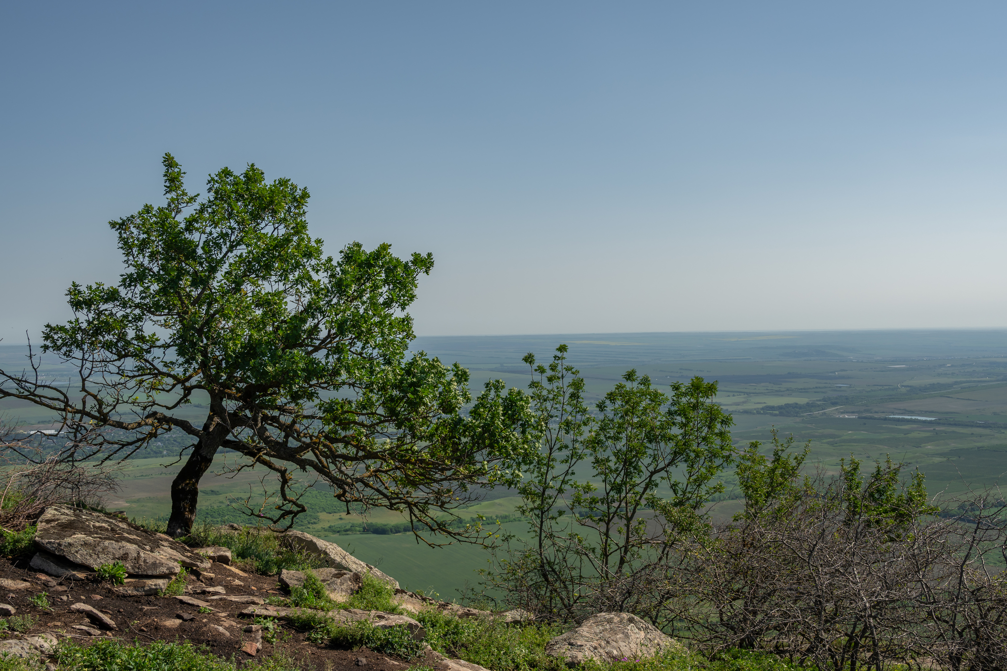 Mount Camel, Kavminvody - My, The mountains, Caucasus mountains, Caucasian Mineral Waters, Tourism, Mountain tourism, Longpost