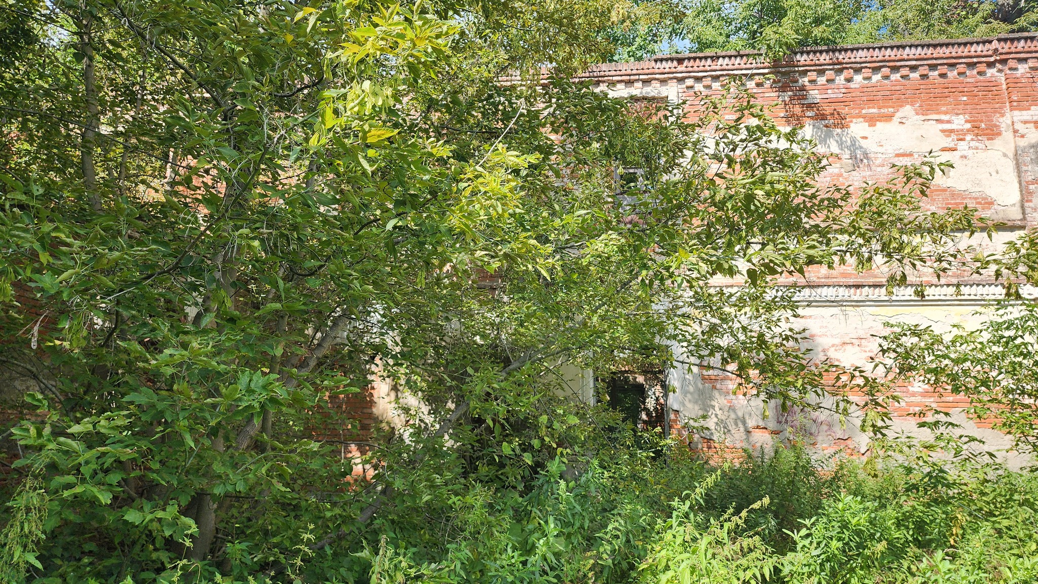 Three steps from the house - estate 2 - My, Moto, Abandoned, 3stephouse, Manor, Moscow region, Weekend travel, sights, Video, Youtube, Longpost, Honda F6B, Vertical video