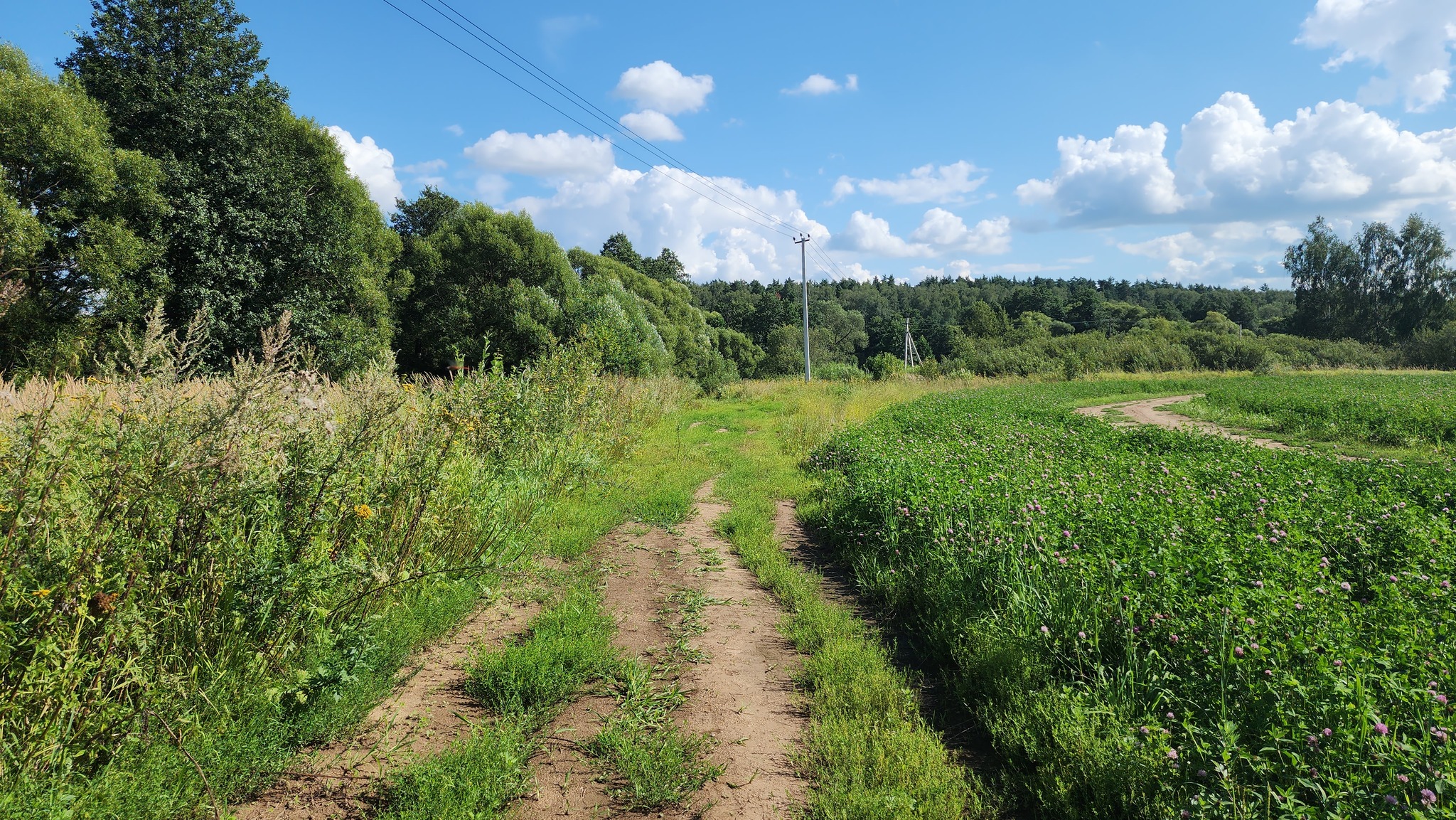 Three steps from the house - estate 2 - My, Moto, Abandoned, 3stephouse, Manor, Moscow region, Weekend travel, sights, Video, Youtube, Longpost, Honda F6B, Vertical video