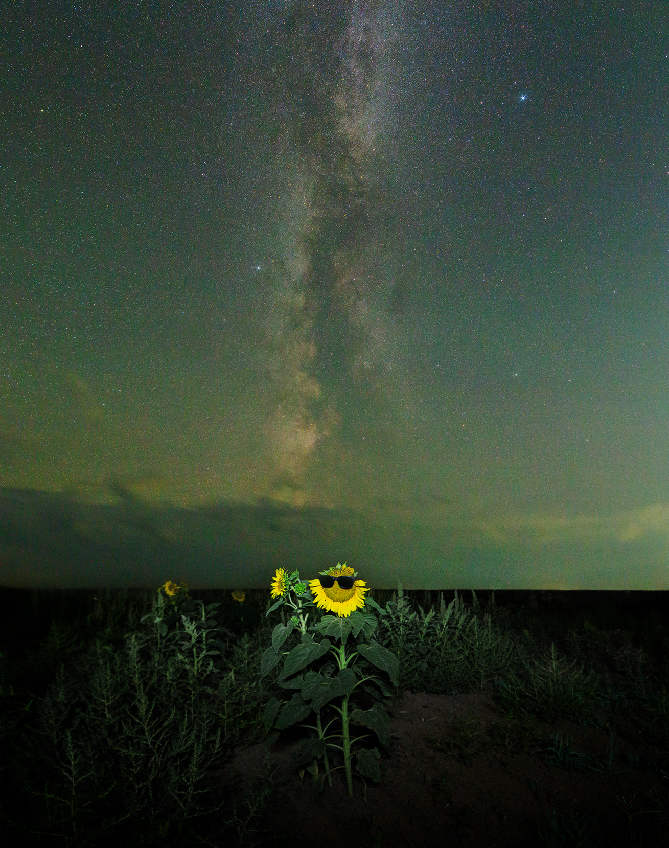 Sunflower under the starry sky of Kazakhstan - My, Astrophoto, The photo, Space, Hobby, Kazakhstan, Milky Way, Night shooting, Starry sky, Stars