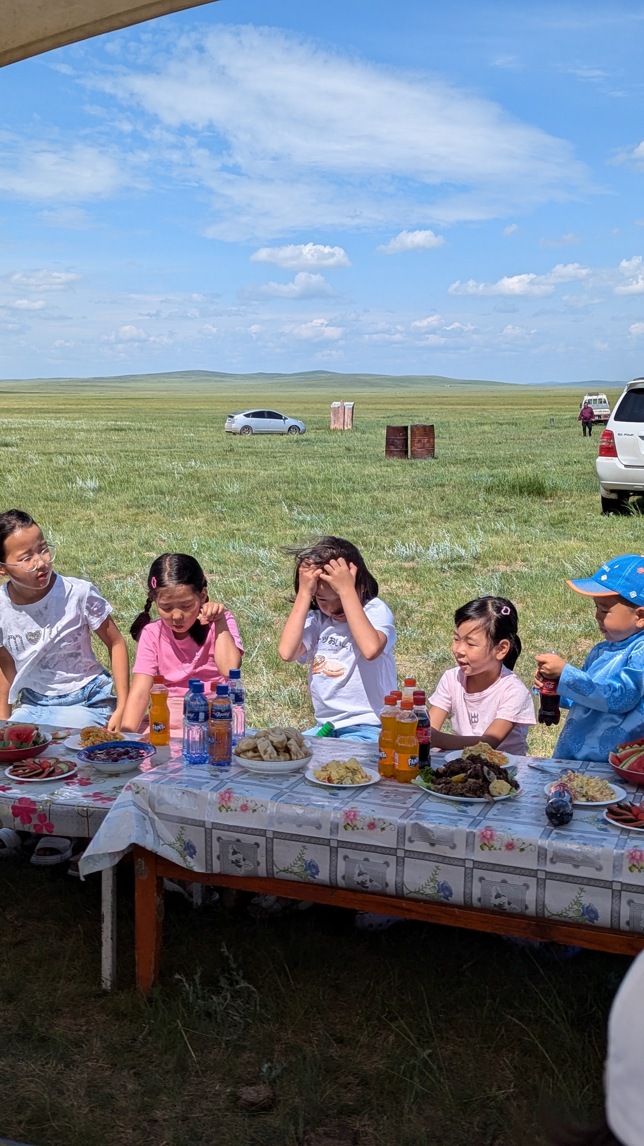 A trip to Mongolia, Dashbalbar, or how we found blood relatives after 100 years - My, Relatives, Family, Mongolia, Buryats, blood ties, Pedigree, Video, Vertical video, Longpost