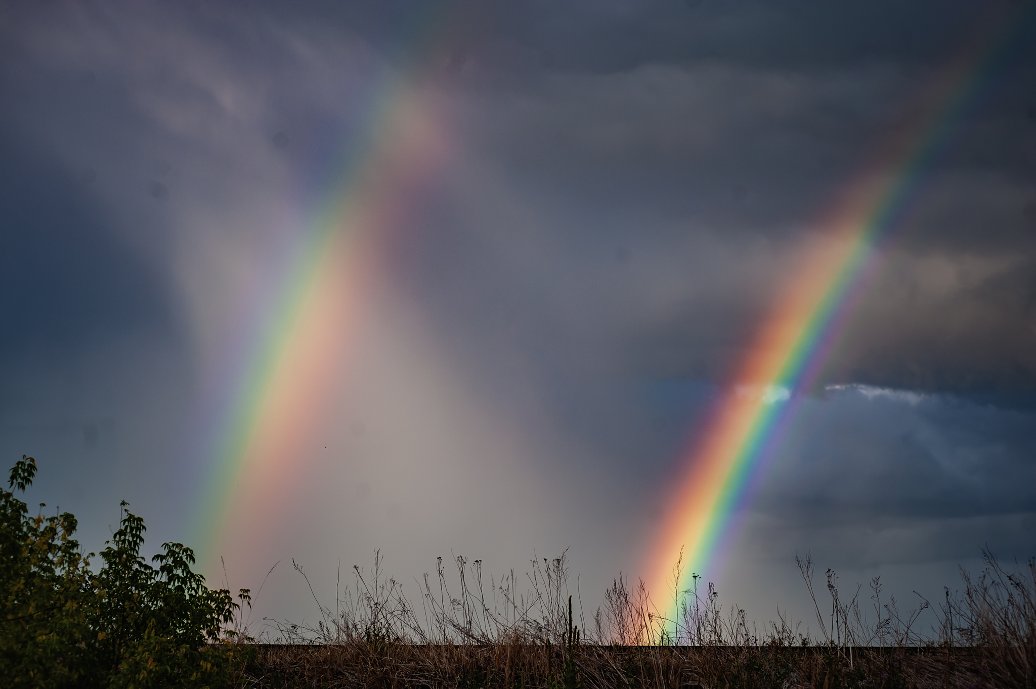 Rainbow - Радуга, Фотография