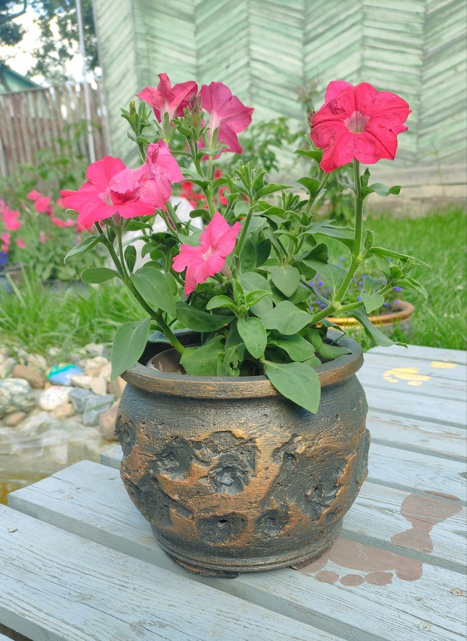 Bloomed - Decor, Flowers, Design, Concrete, Art concrete, Interior Design, Interior, Plant pot, Vase, Pot, Flower bed, Landscape design, Dacha, Garden, Flower pot, Pots, Telegram (link), Longpost