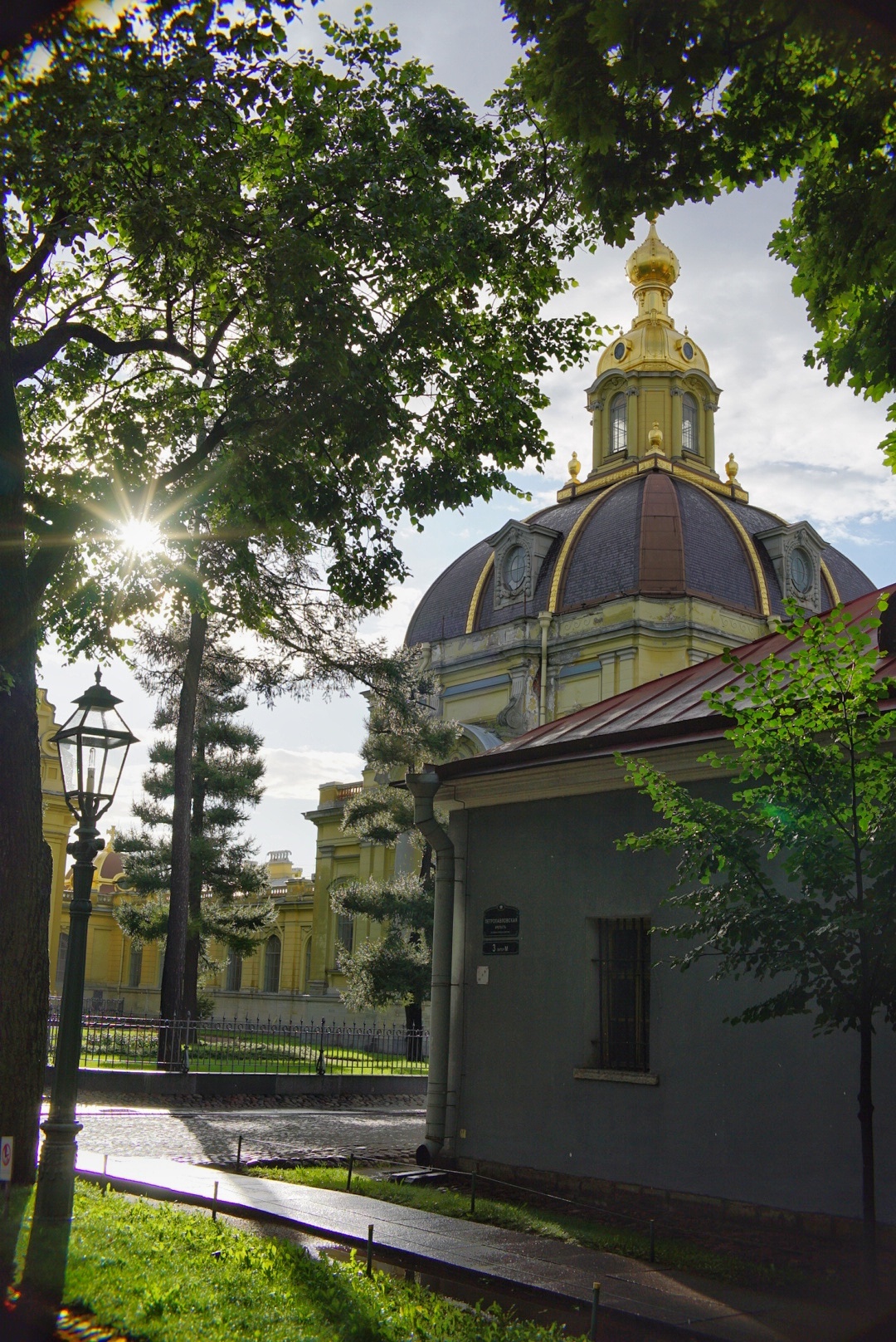 Peter - My, The photo, Nature, Saint Petersburg, Longpost