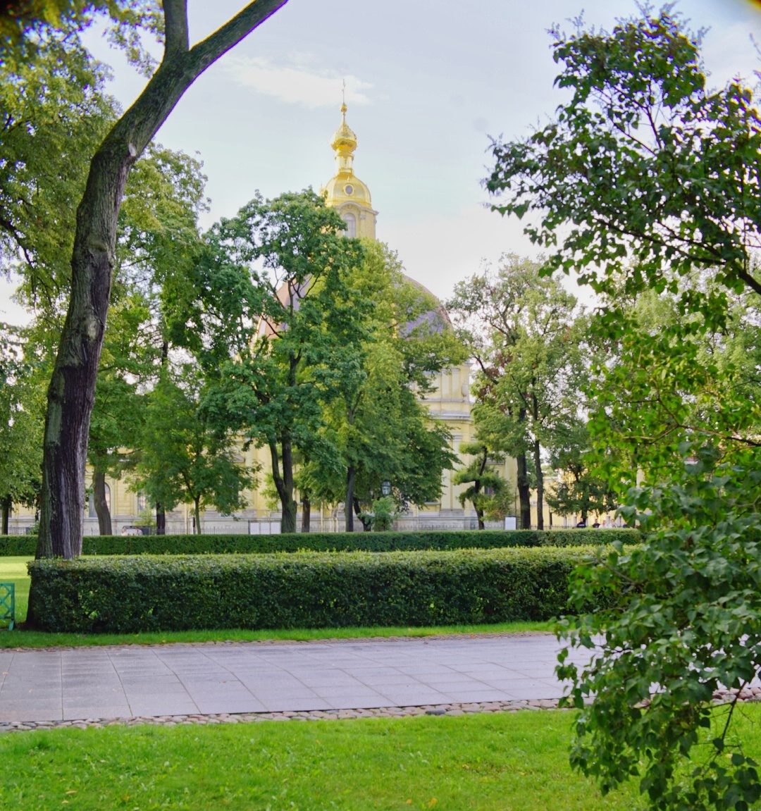 Peter - My, The photo, Nature, Saint Petersburg, Longpost