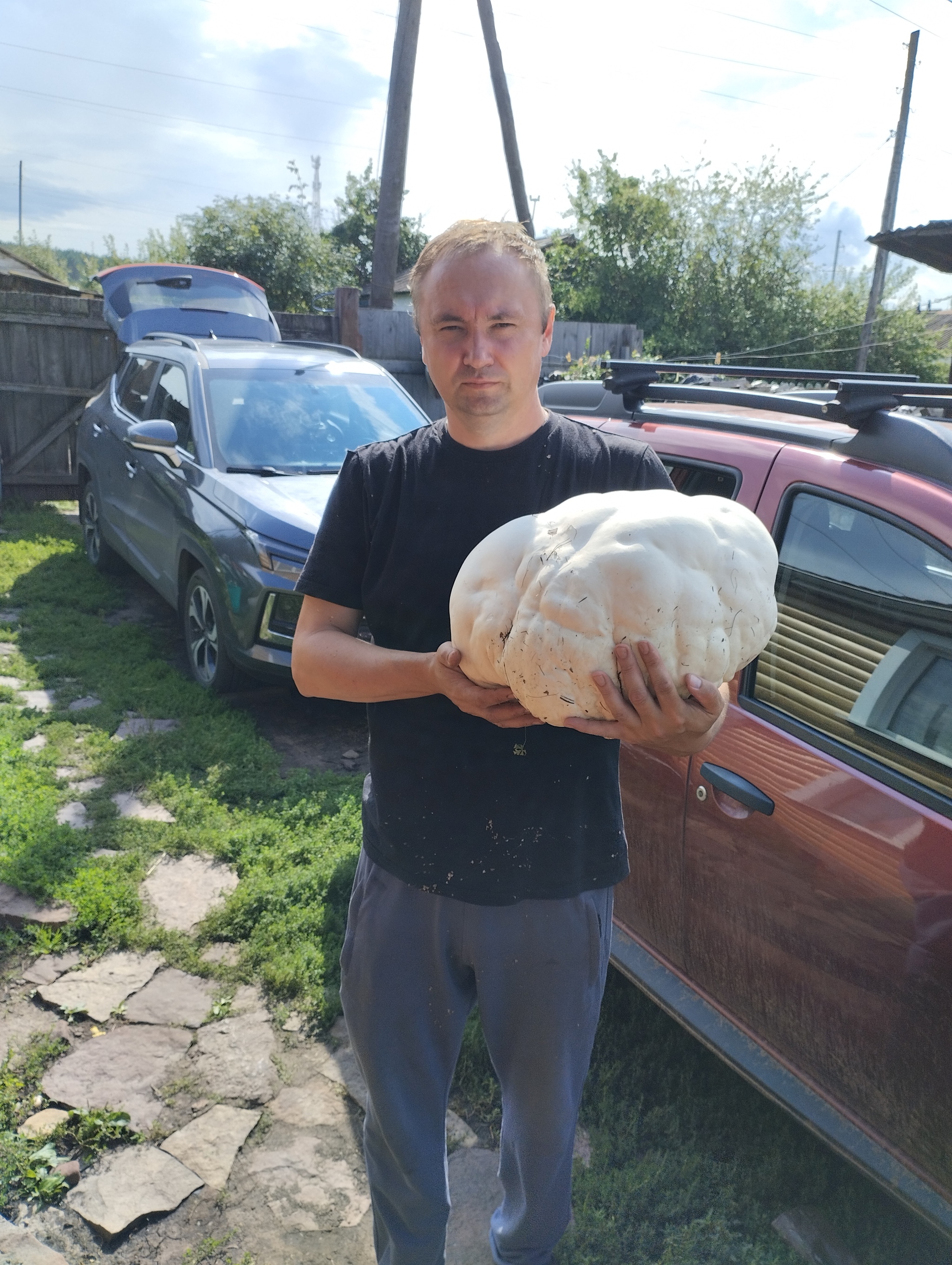 Giant mushrooms! - My, Mushrooms, Unusual, The nature of Russia, Longpost, Giants, The photo