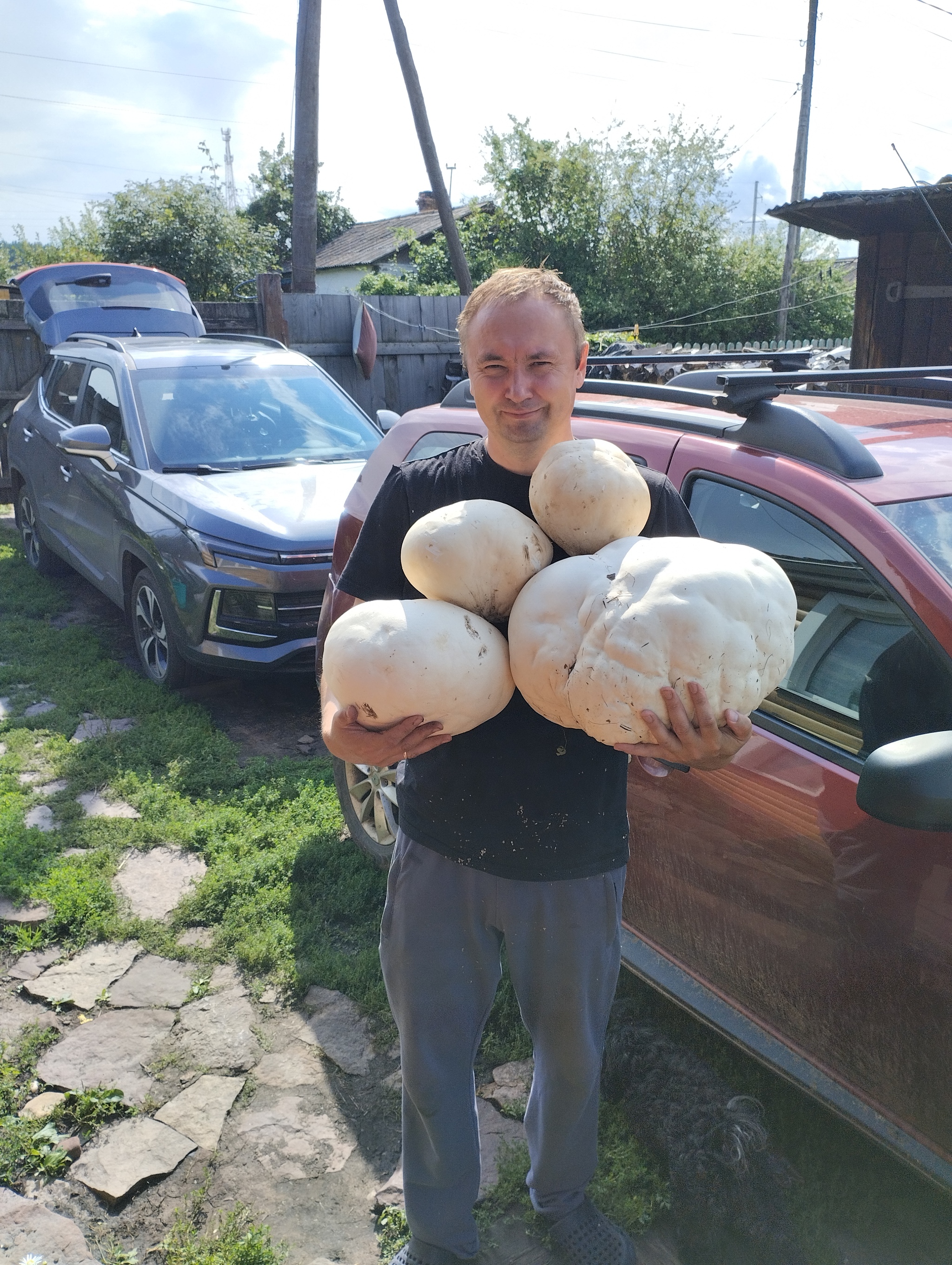 Giant mushrooms! - My, Mushrooms, Unusual, The nature of Russia, Longpost, Giants, The photo