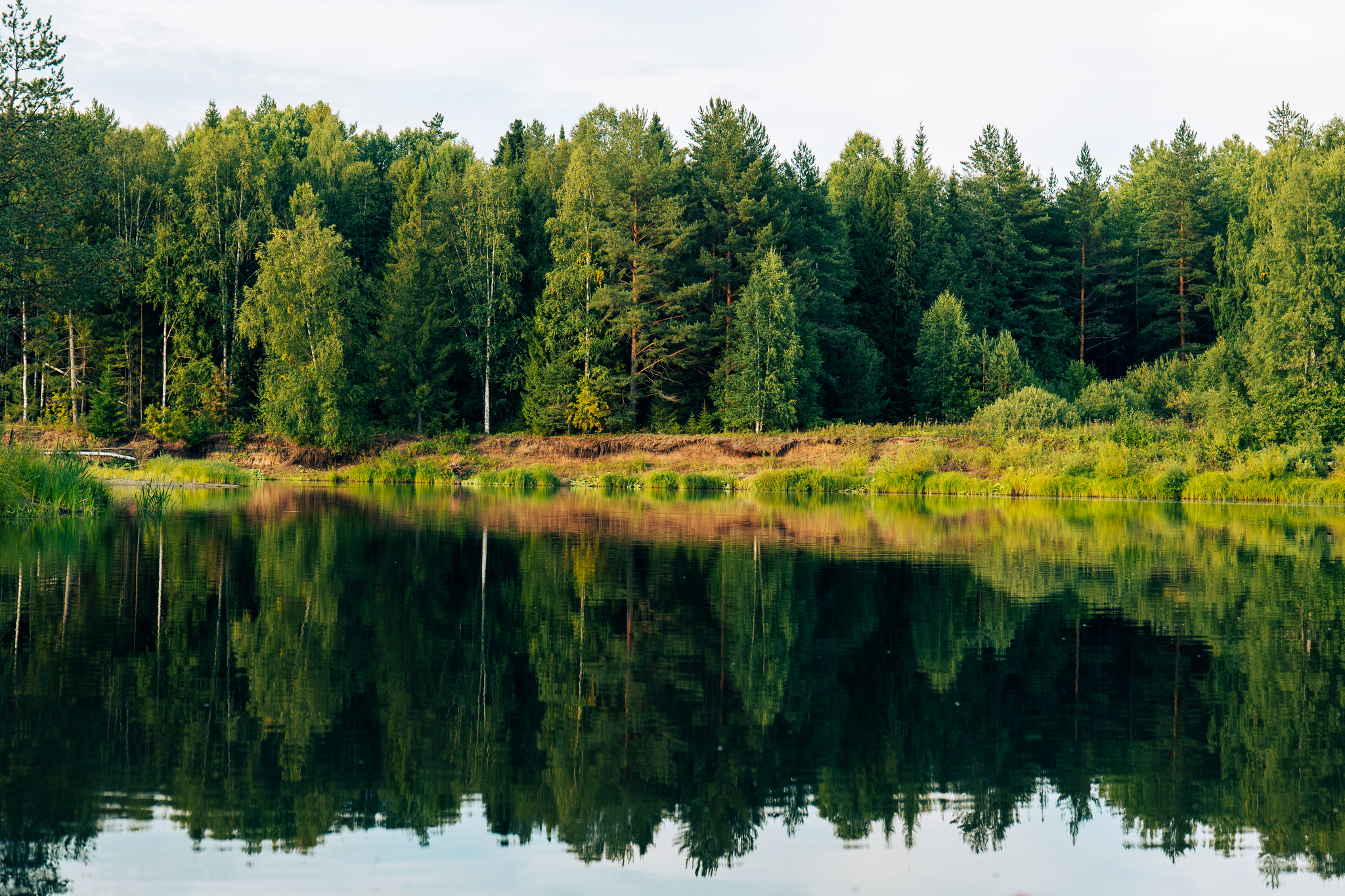 August rafting on the Letka - My, Alloy, Nature, The photo, Tourism, beauty, August, Kirov region, River, Landscape, Longpost