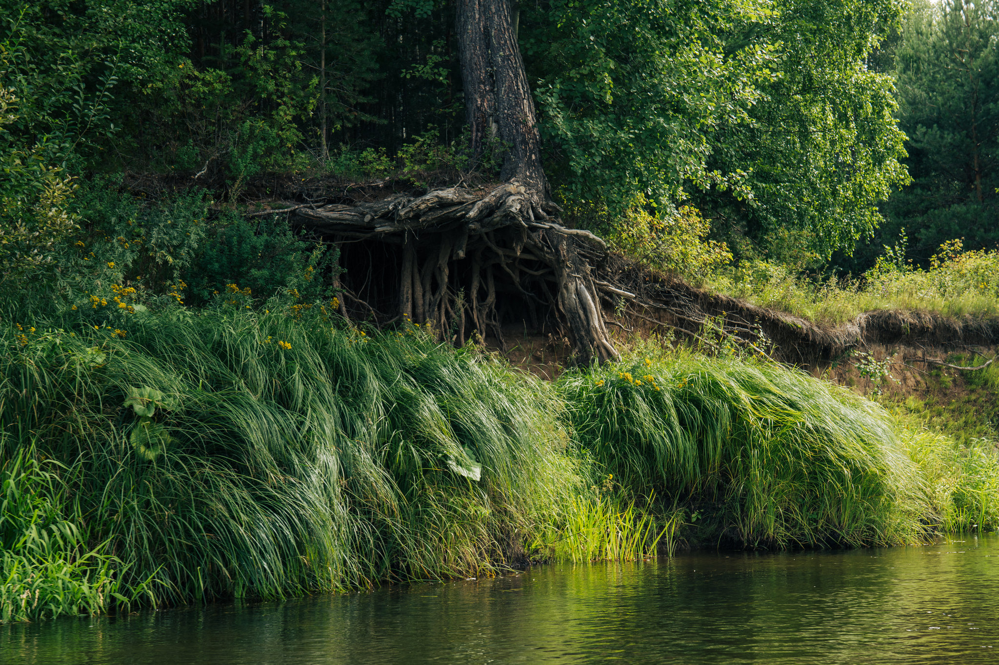 August rafting on the Letka - My, Alloy, Nature, The photo, Tourism, beauty, August, Kirov region, River, Landscape, Longpost