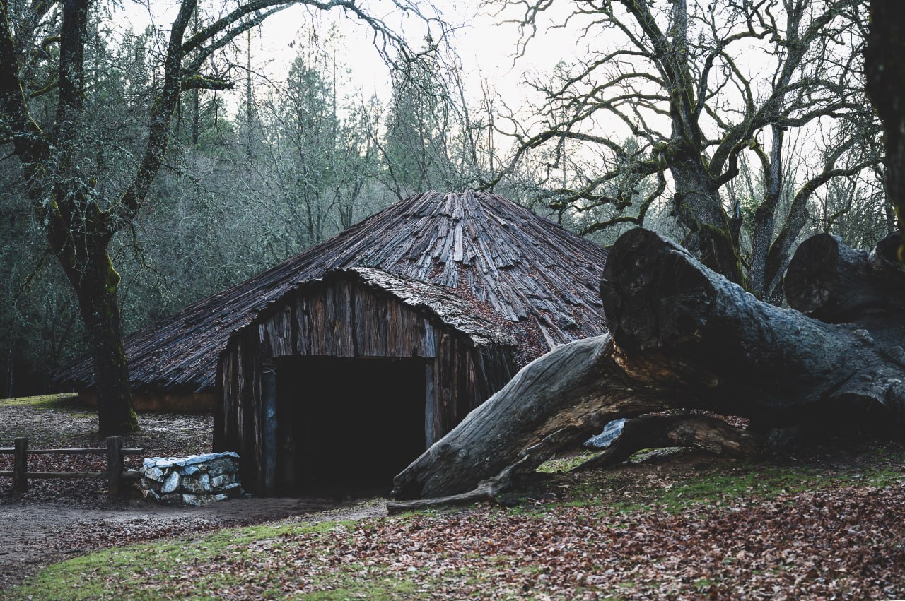 Houses made of bones. How would you live in the Stone Age? - My, Local history, Archeology, Primitive-Communal system, History (science), Architecture, Antiquity, The culture, The property, Longpost