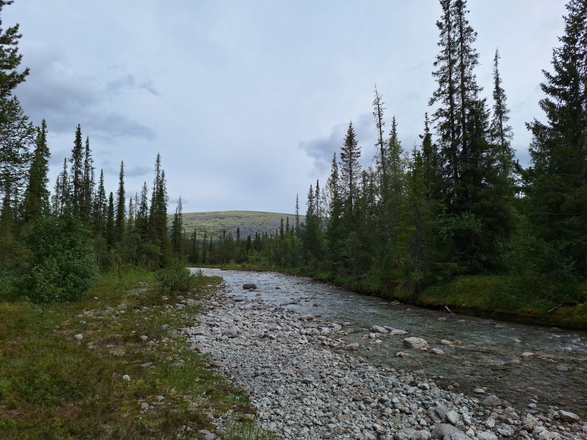 Khibiny. My first trip to the Arctic Circle - My, Hike, Travels, Tourism, Longpost