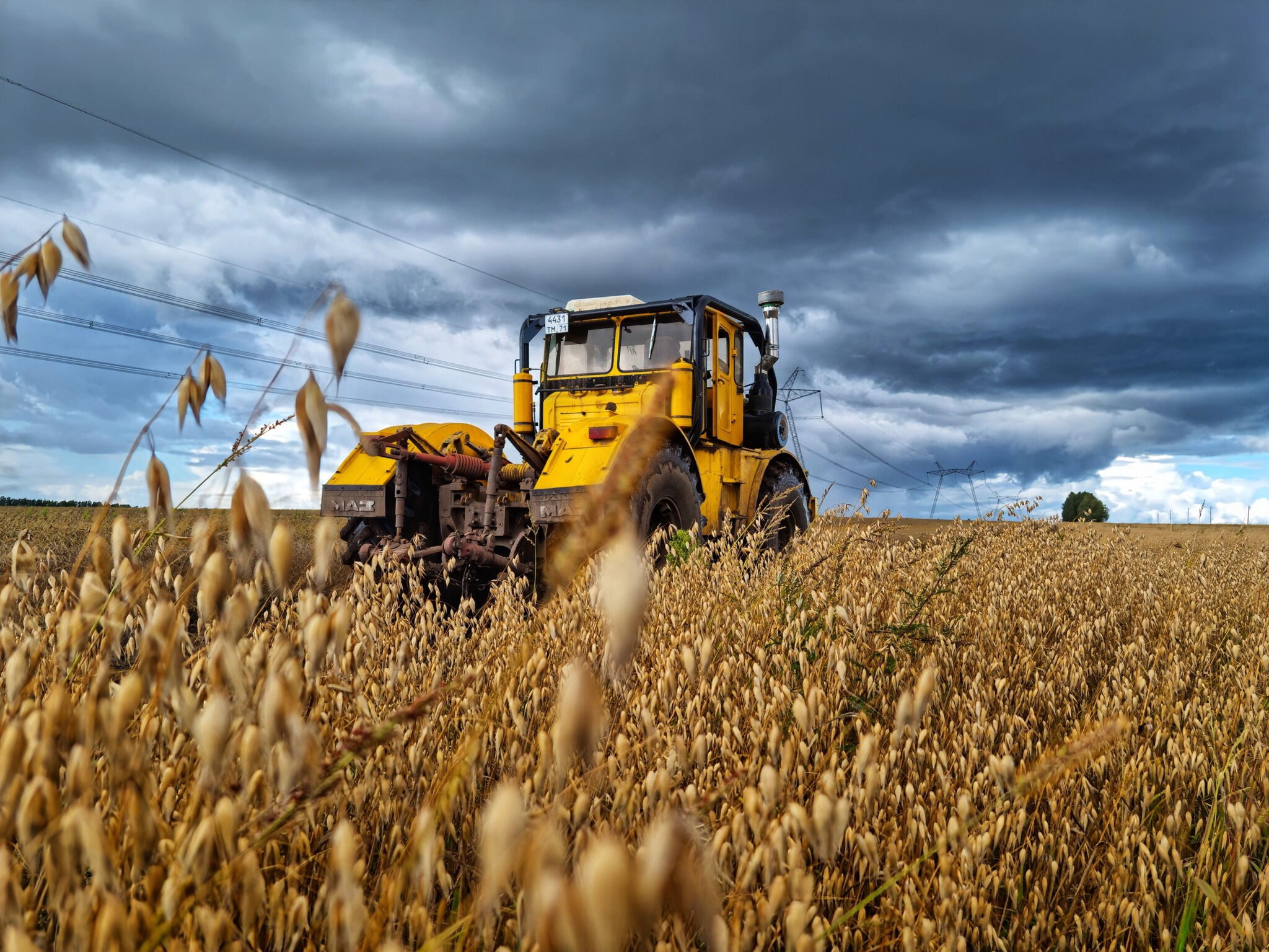 No politics and boobs - My, Tractor, Tractor driver, Landscape, Field, The photo, Nature