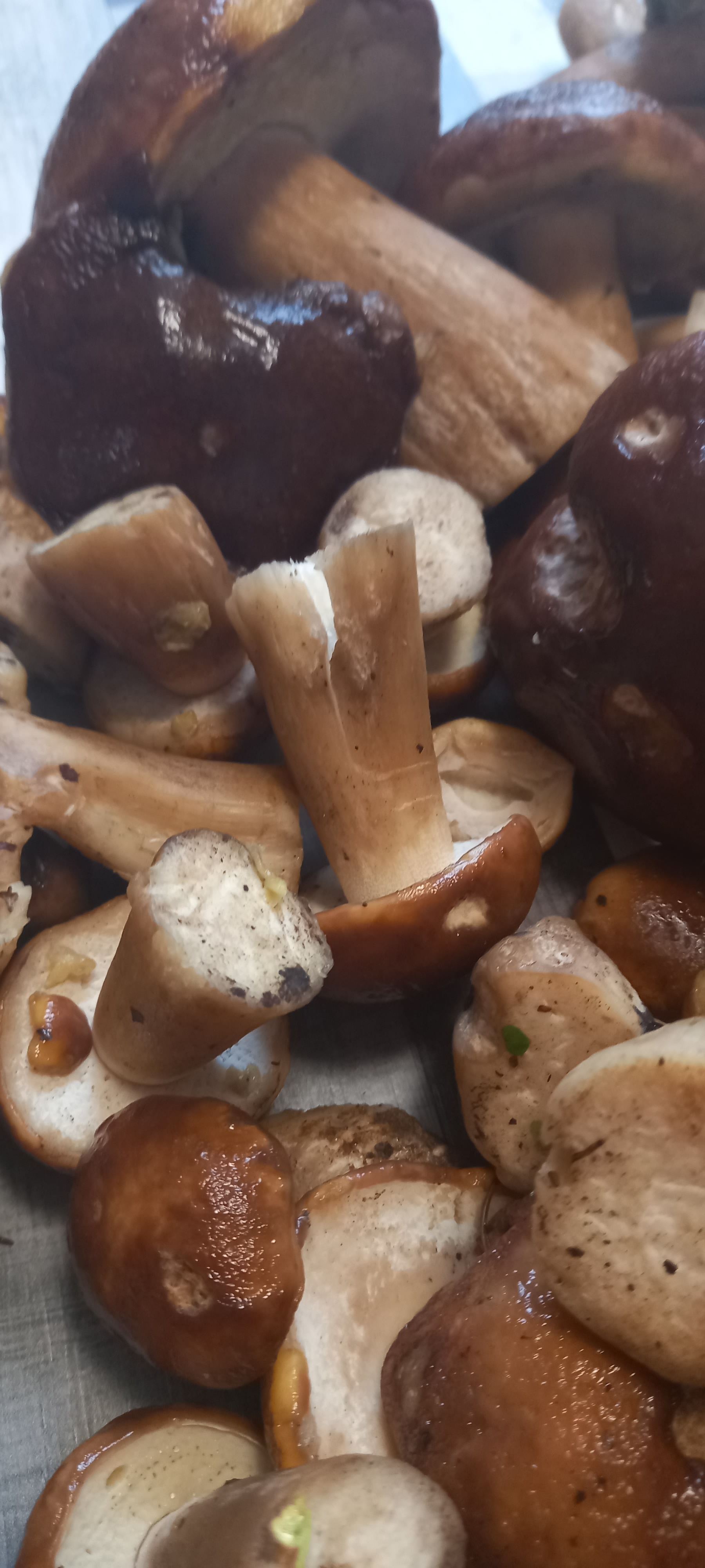 Silent hunt - My, Village, Village, Mushrooms, Longpost, Silent hunt, The photo