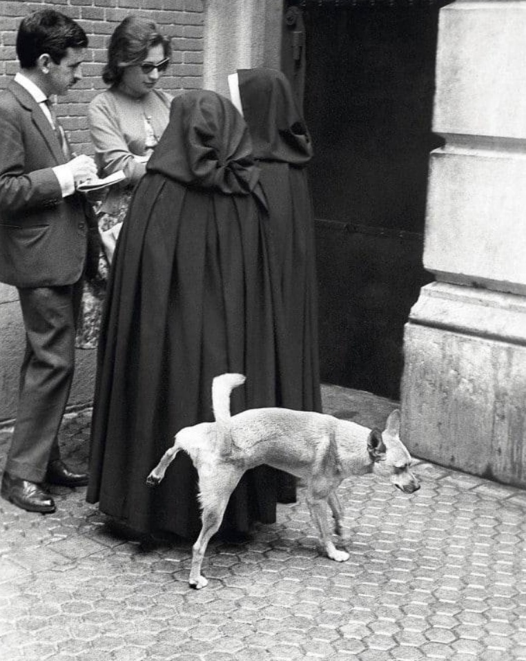 Madrid, Spain. 1960s - Black and white photo, Dog, Nun