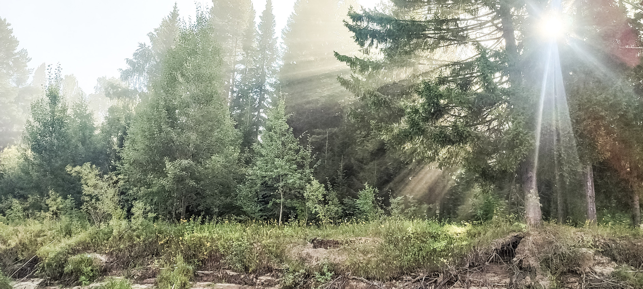 Foggy morning - My, Ural, Nature, Fishermen, Fishing, wildlife, Vishera, The nature of Russia, River, Morning, Fog, Landscape, Sunrise, Sun rays, The photo