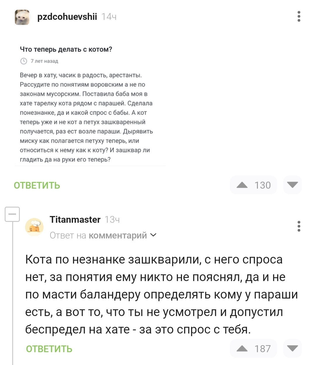 Что с котом делать? - Комментарии на Пикабу, Картинка с текстом, Юмор, Скриншот, Кот, АУЕ, По понятиям